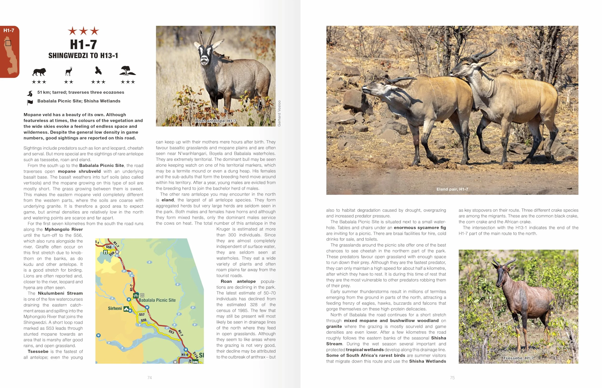 Kruger Self-Drive: Second Edition: Routes, Roads & Ratings