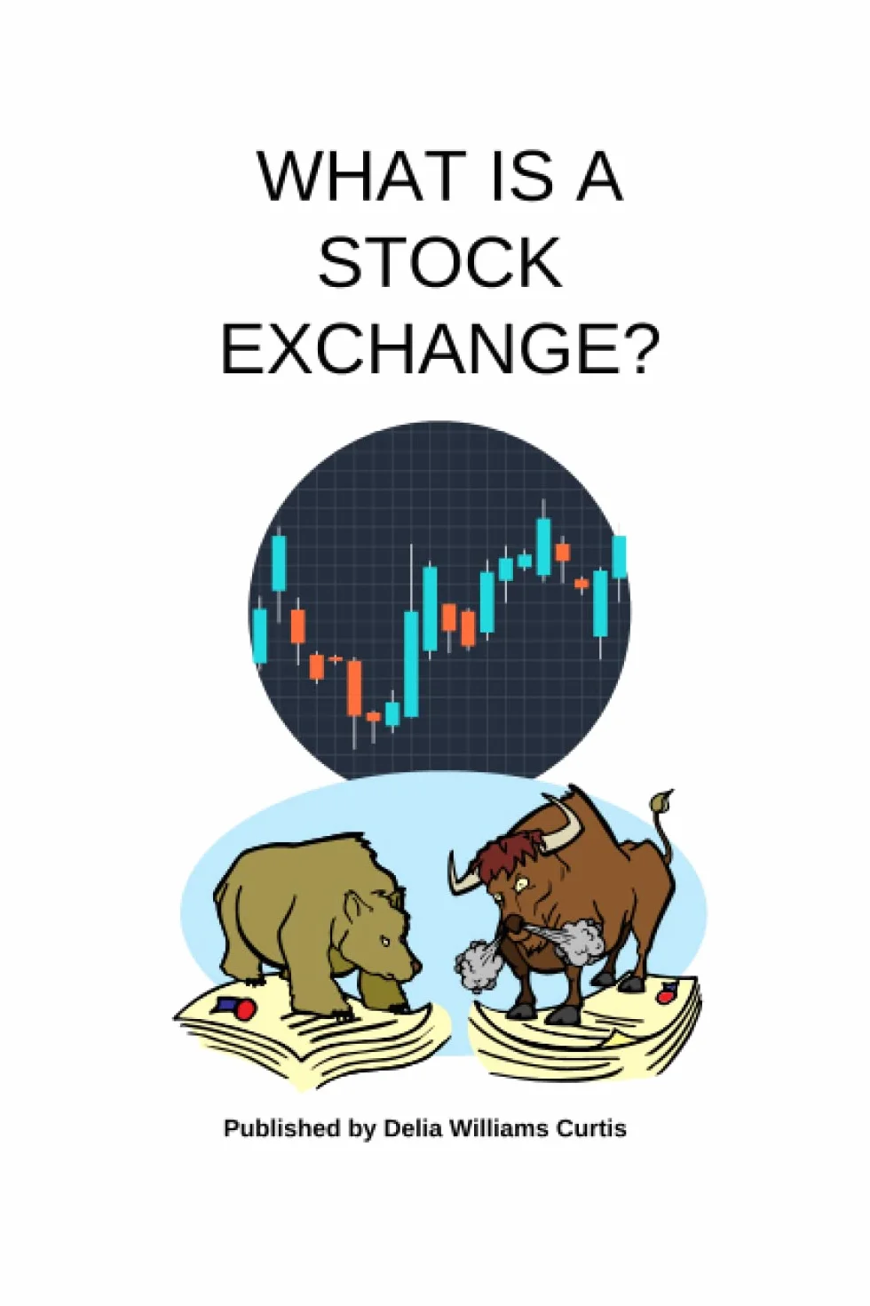 What is a Stock Exchange?