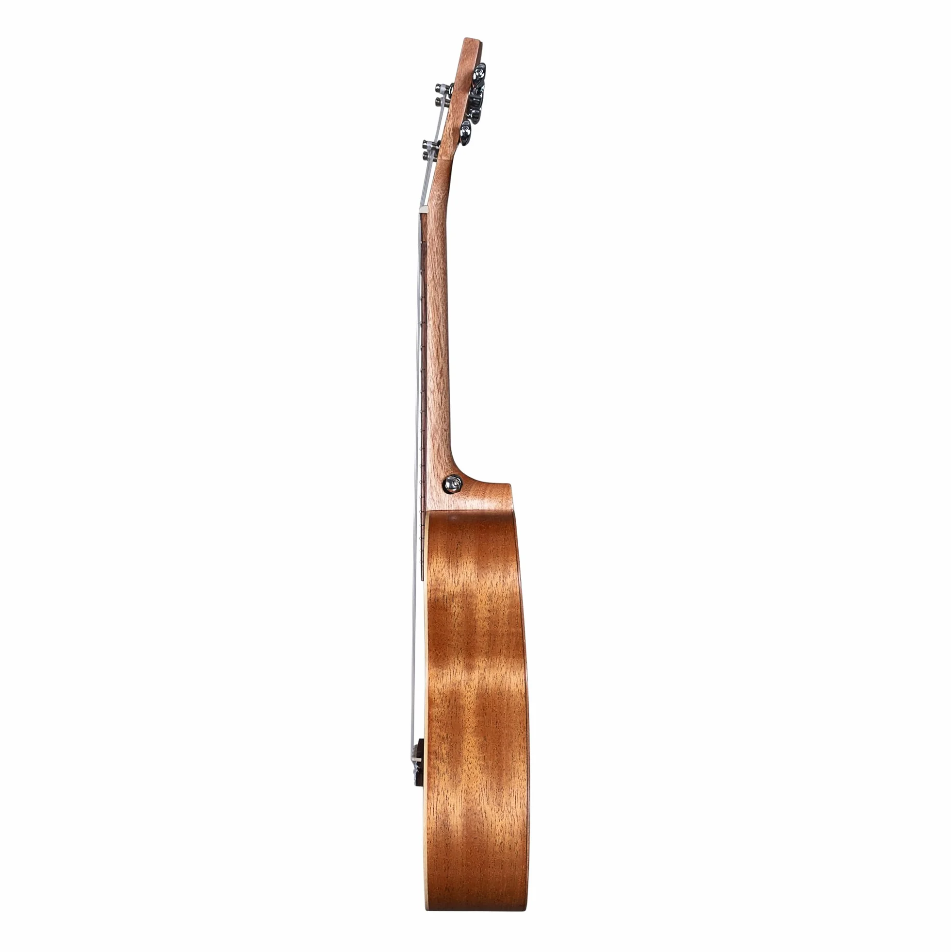 Tenor Art Series Urban ukulele