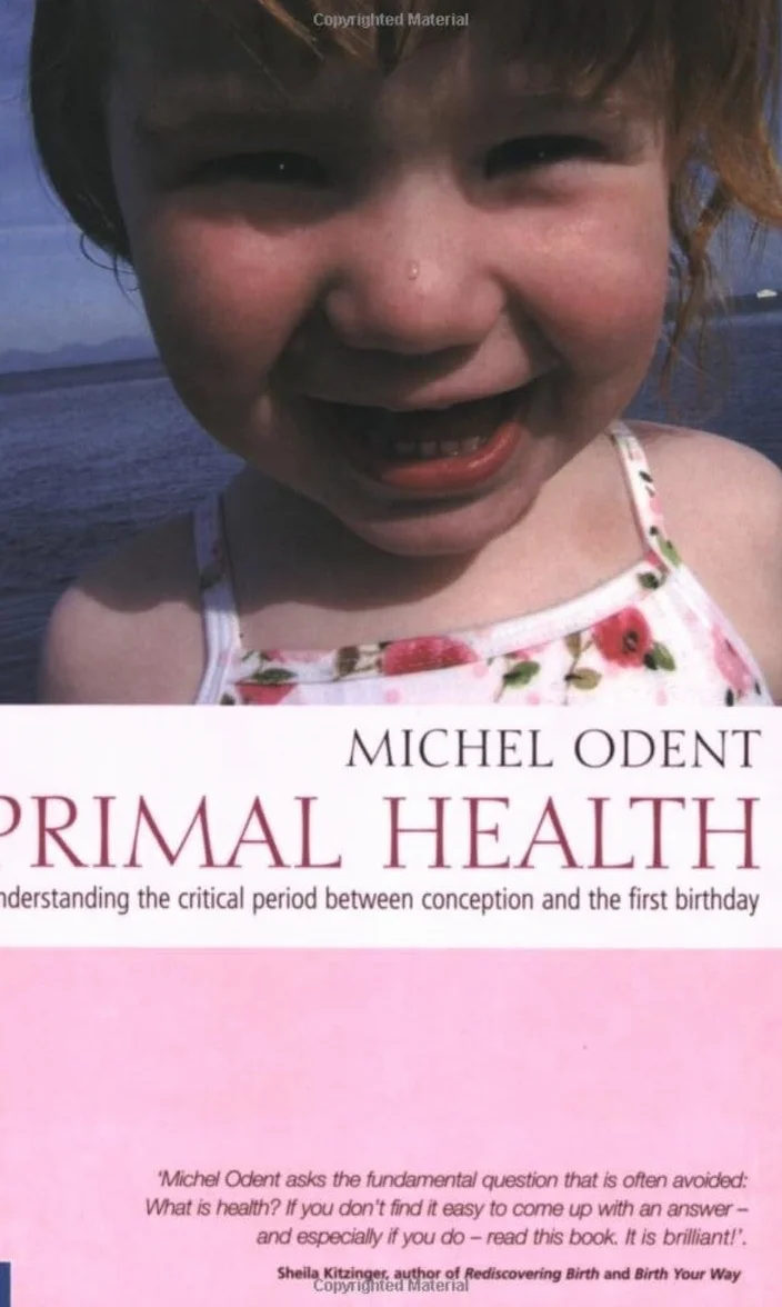Primal Health: Understanding the Critical Period Between Conception and the First Birthday