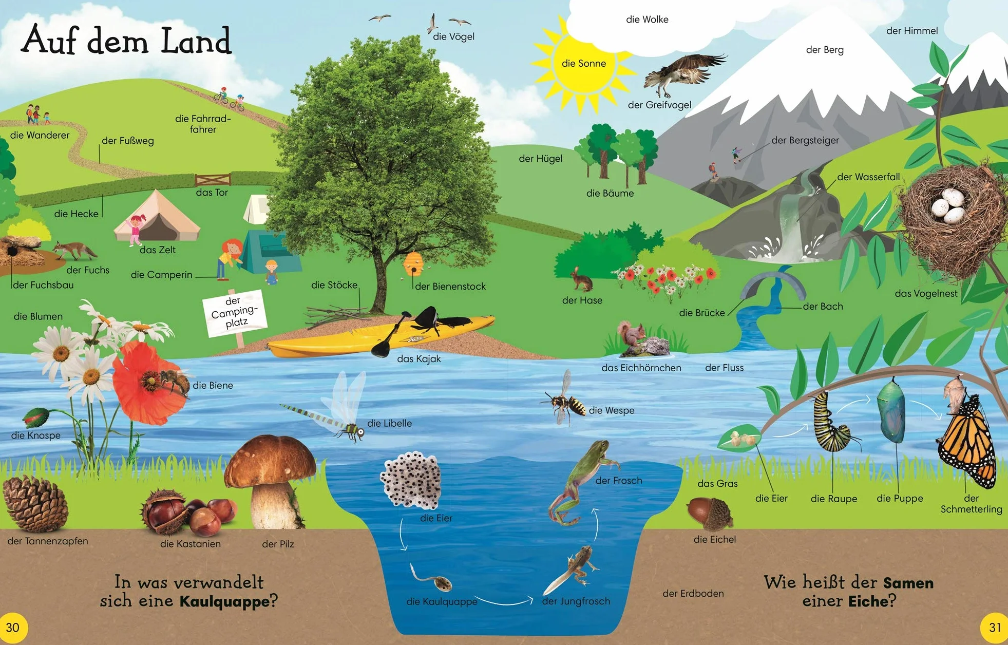 1000 erste Wörter: Mein Bildwörterbuch für den Kindergarten