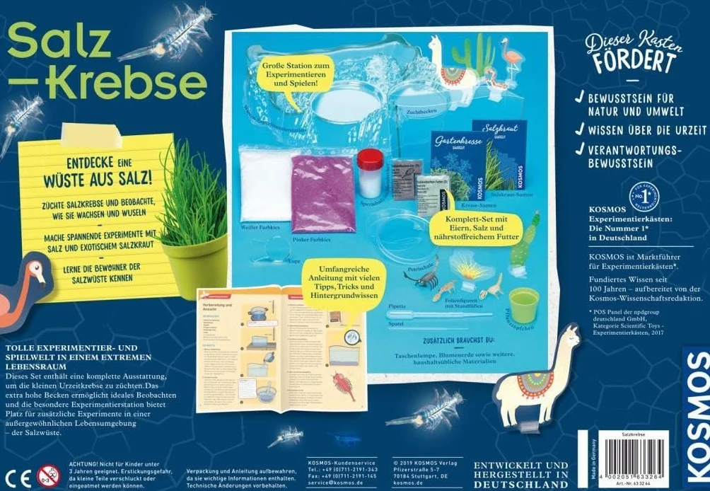 Salzkrebse: Experimentierkasten
