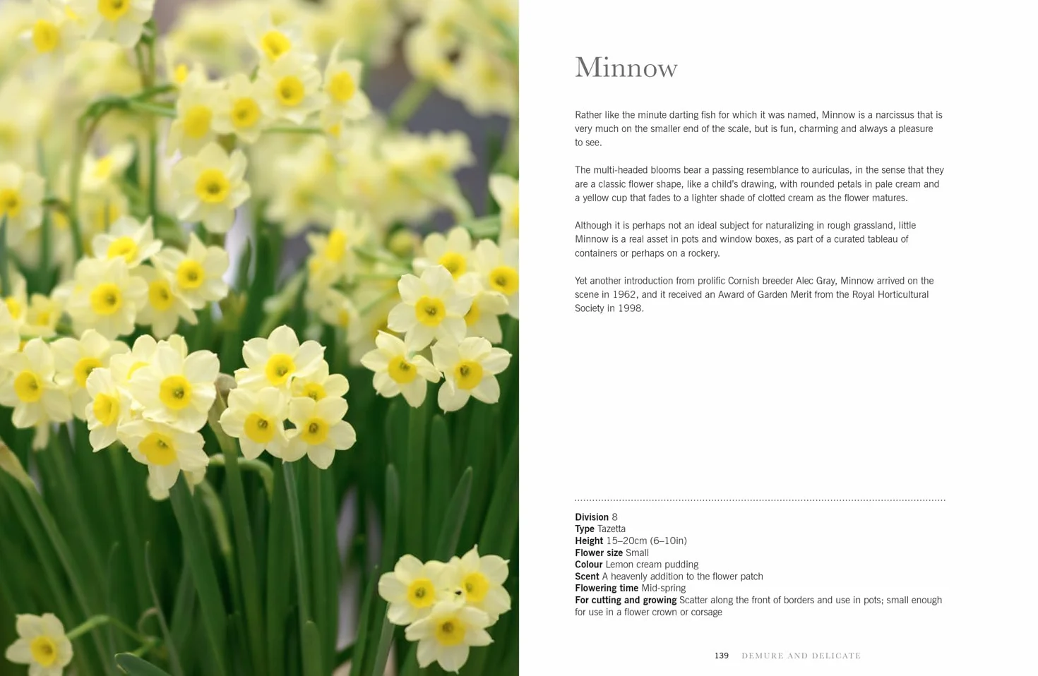 Daffodils: The ultimate guide for growing, flowering and cutting beautiful narcissi varieties for daffodils at home and in the garden