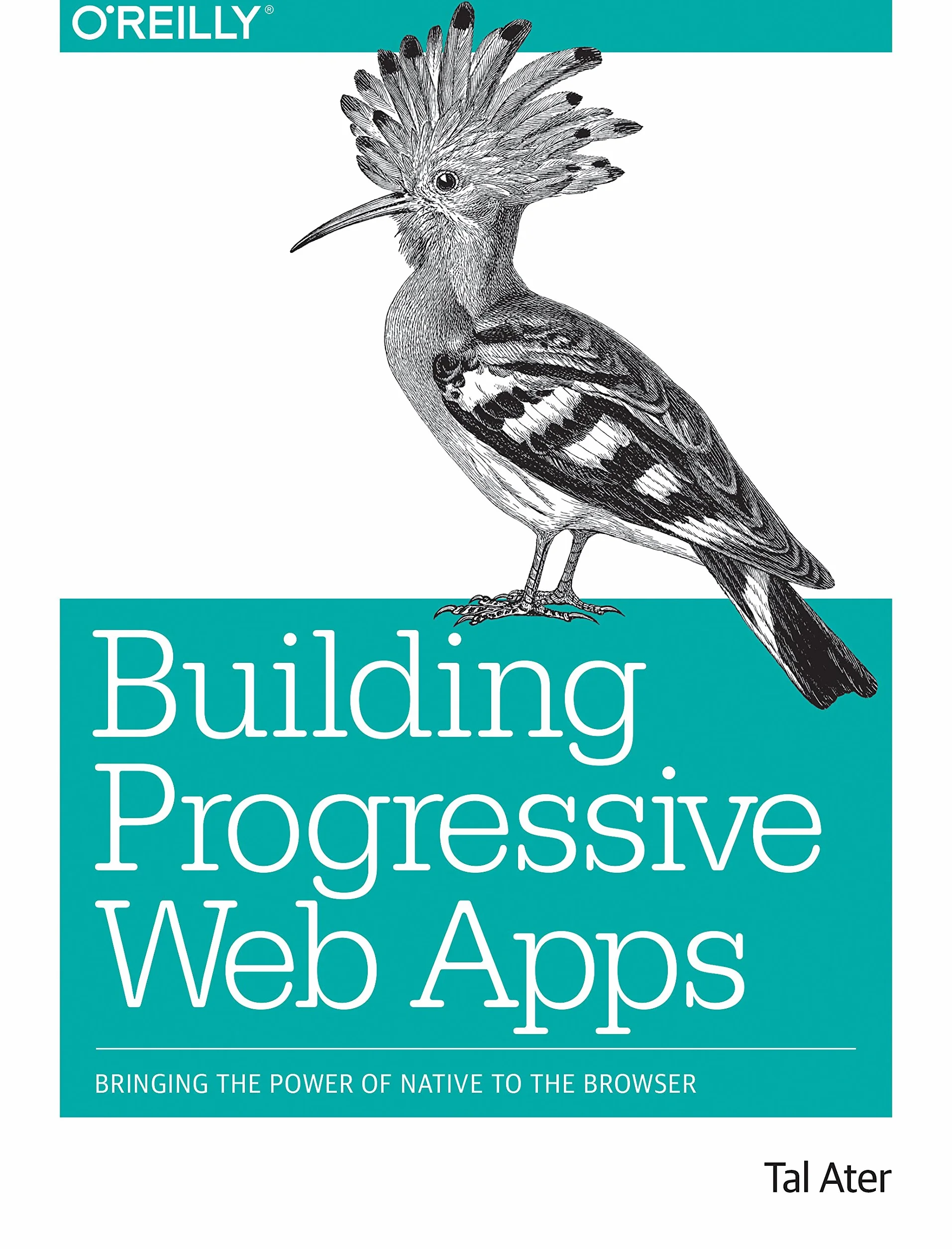 Building Progressive Web Apps: Bringing the Power of Native to the Browser