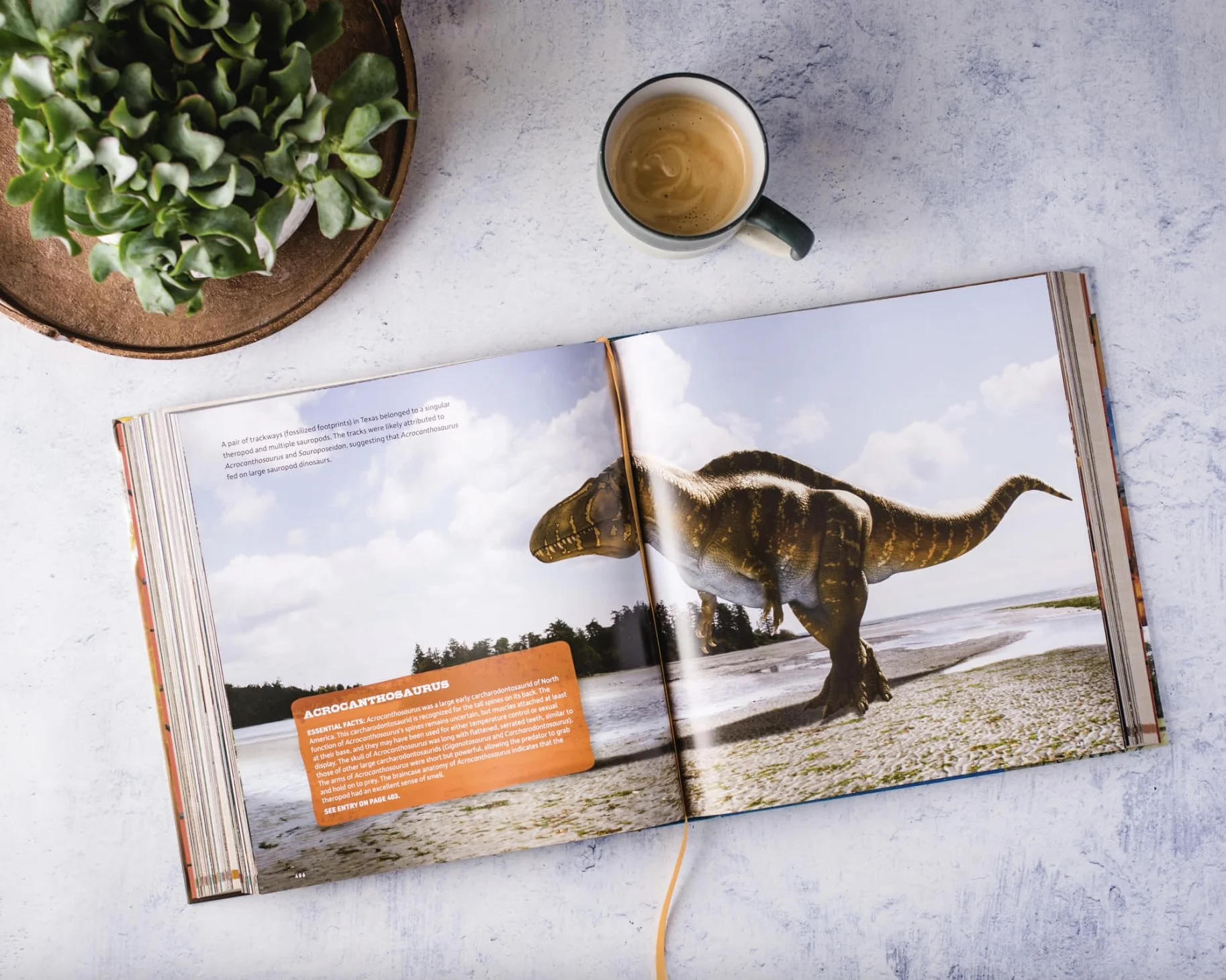 Dinosaur World: Over 1,200 Amazing Dinosaurs, Famous Fossils, and the Latest Discoveries from the Prehistoric Era