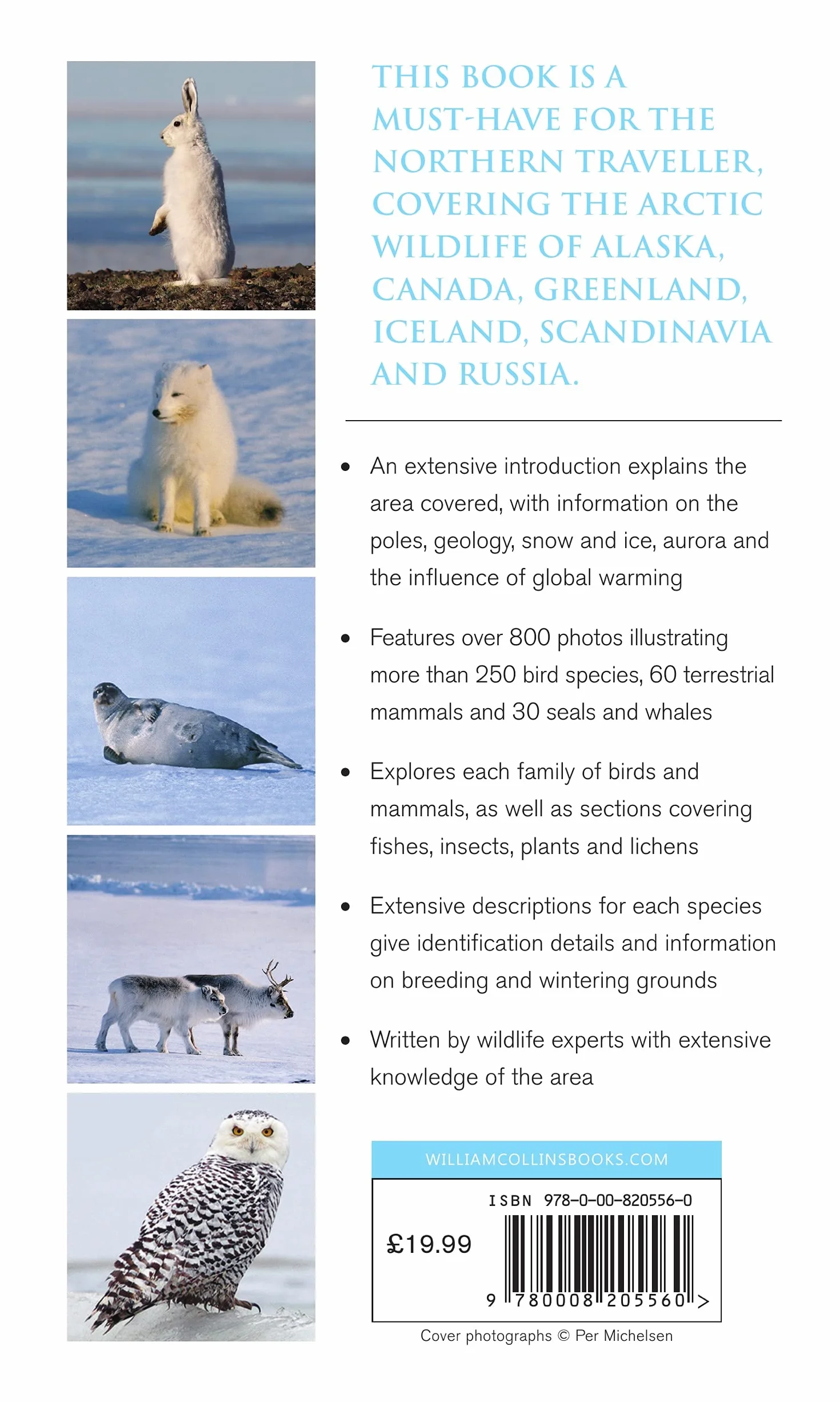 Wildlife of the Arctic