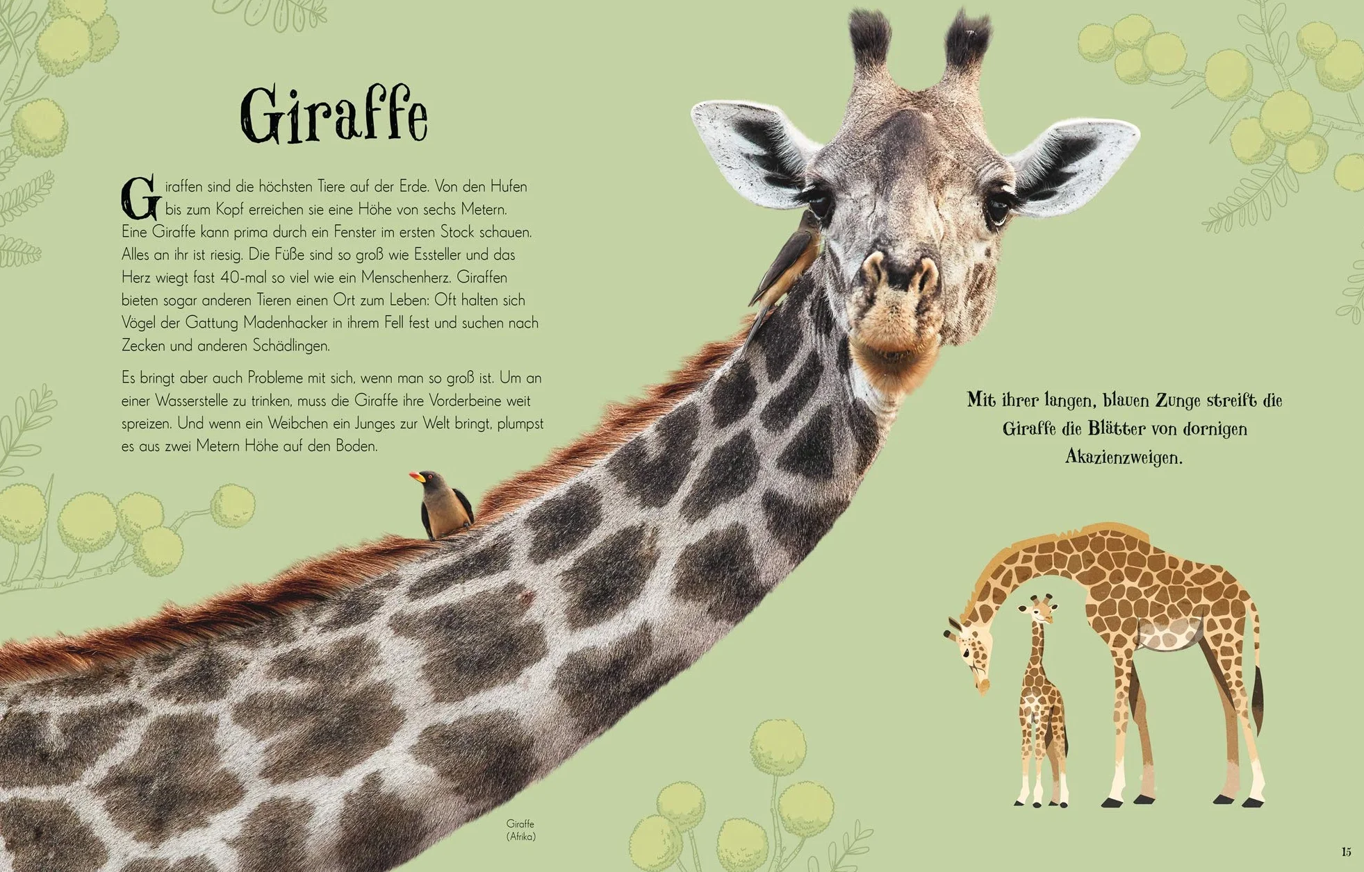 Wundervolle Welt der Tiere: Ein Tierbilderbuch für die ganze Familie. Hochwertig ausgestattet mit Lesebändchen, Goldfolie und Goldschnitt