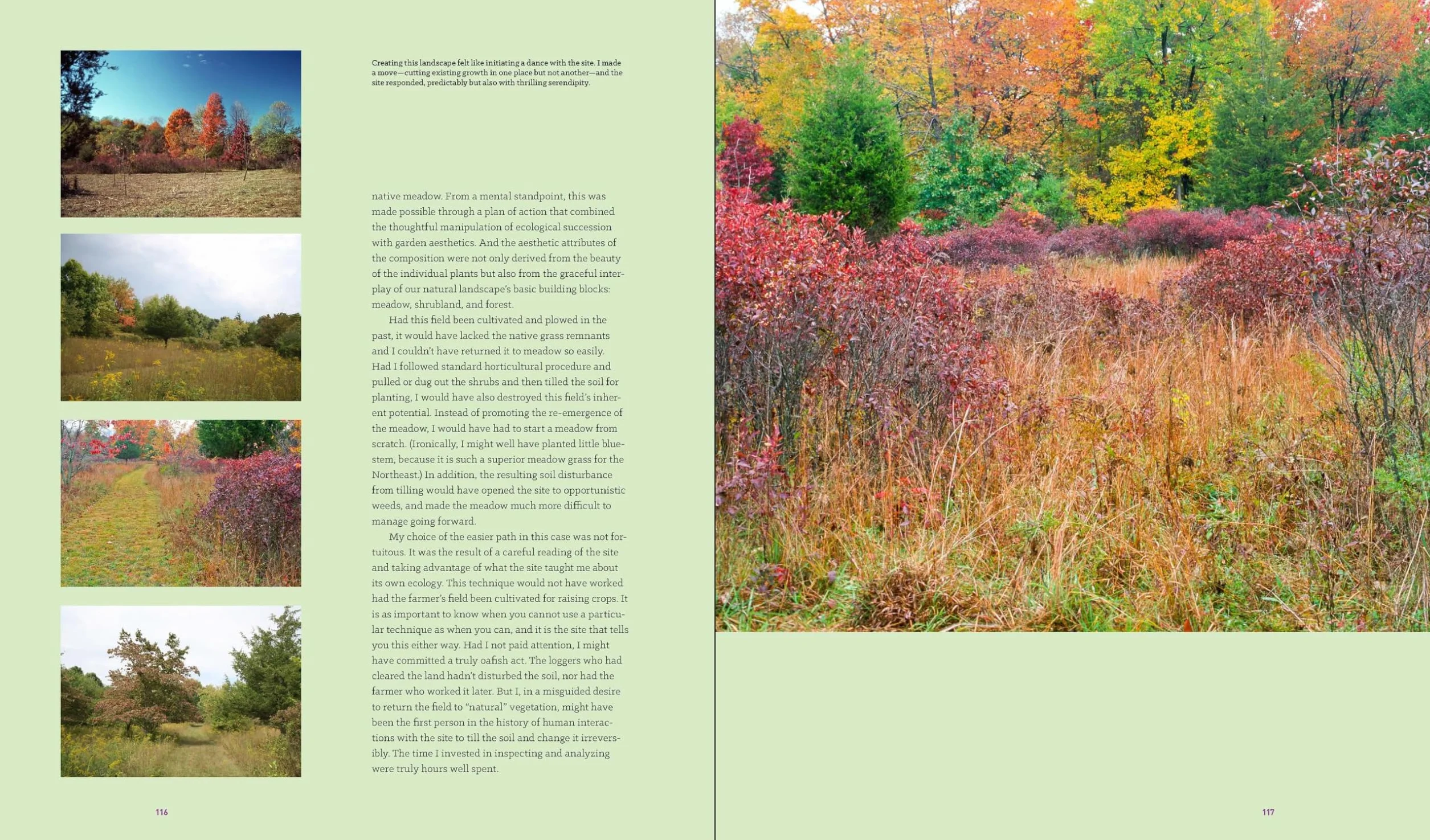 Garden Revolution: How Our Landscapes Can Be a Source of Environmental Change
