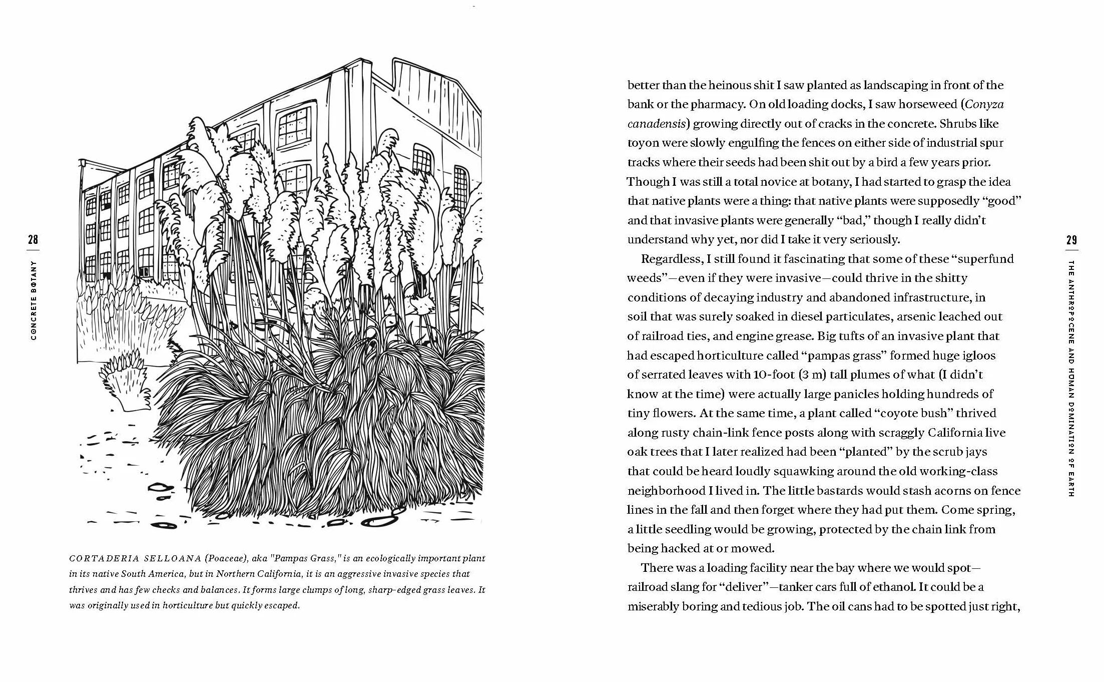 Concrete Botany: The Ecology of Plants in the Age of Human Disturbance