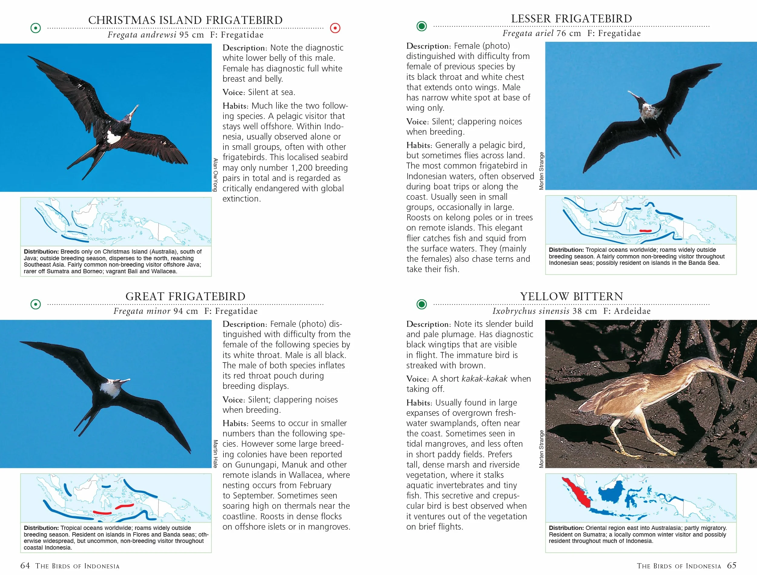 A Photographic Guide to the Birds of Indonesia: Updated Second Edition