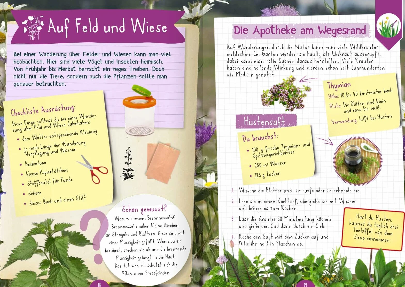 Naturforscher-Kids - Mitmach-Buch für unterwegs: Eintragen, Forschen, Entdecken