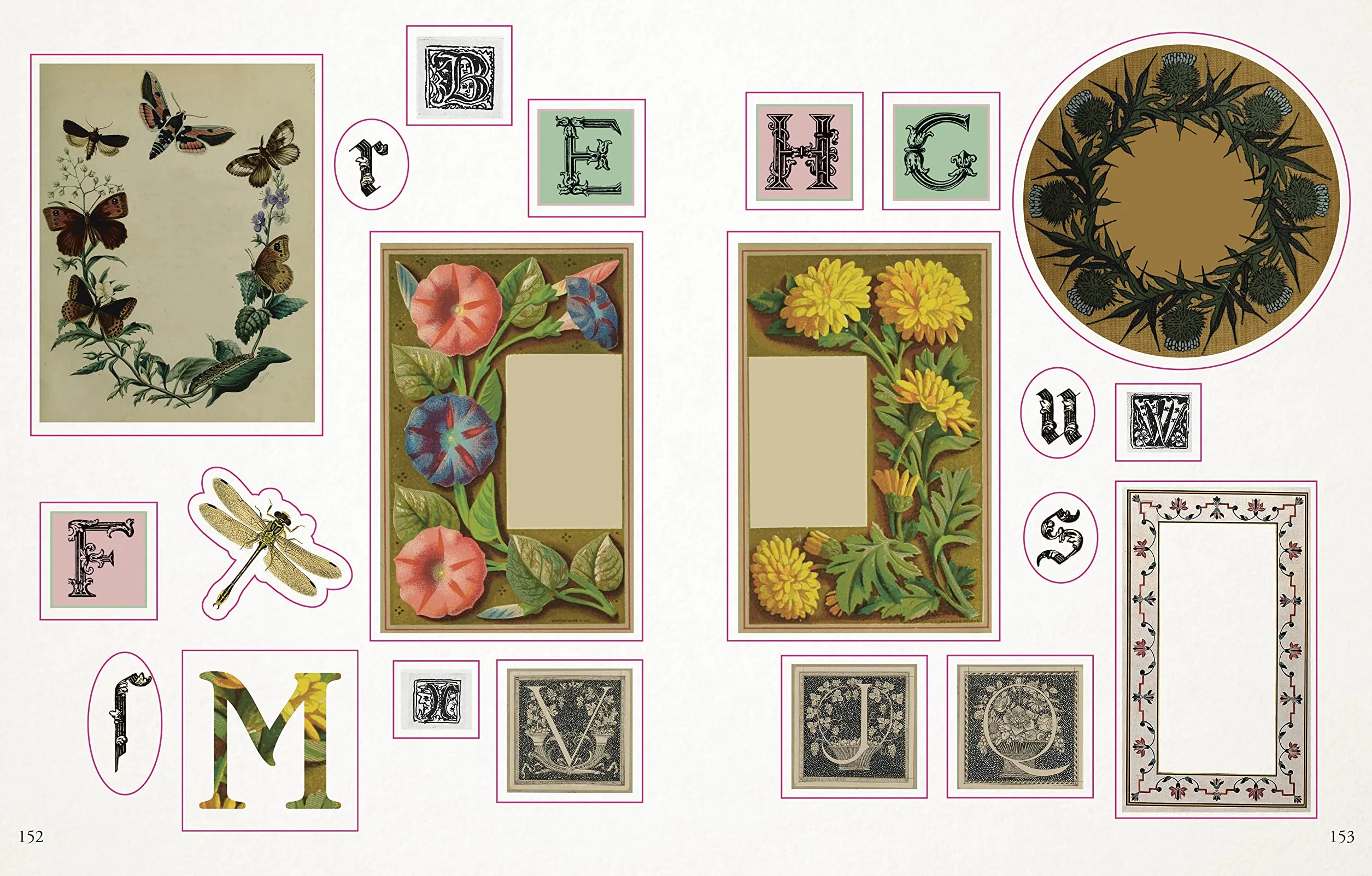 The Botanist's Sticker Anthology: With More Than 1,000 Vintage Stickers