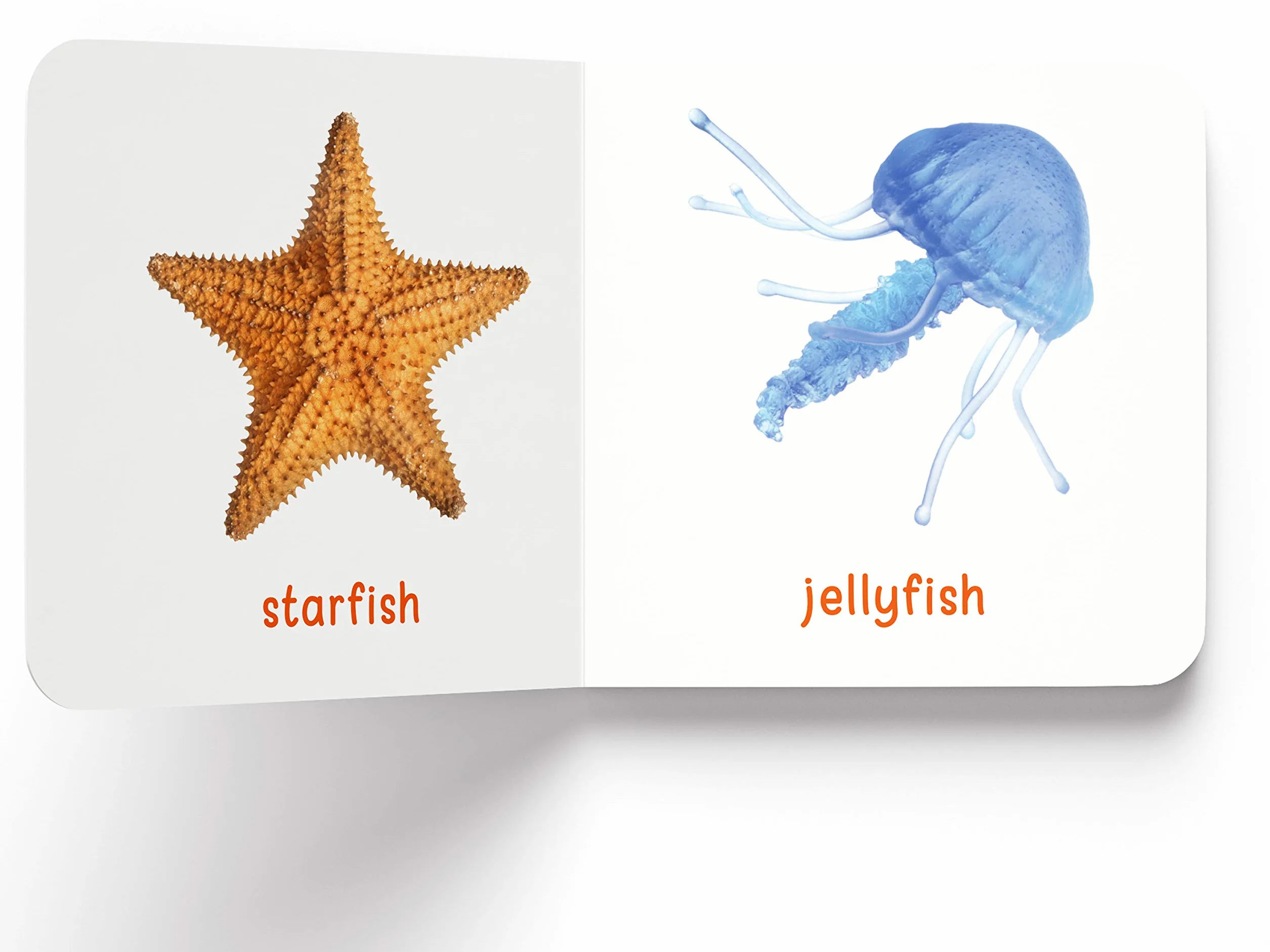 My First Learning Library Box Set 2: Box Set of 20 Board Books for Children