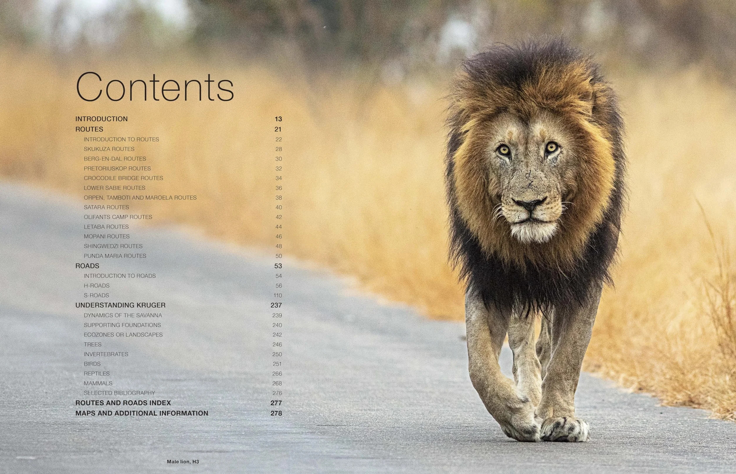 Kruger Self-Drive: Second Edition: Routes, Roads & Ratings