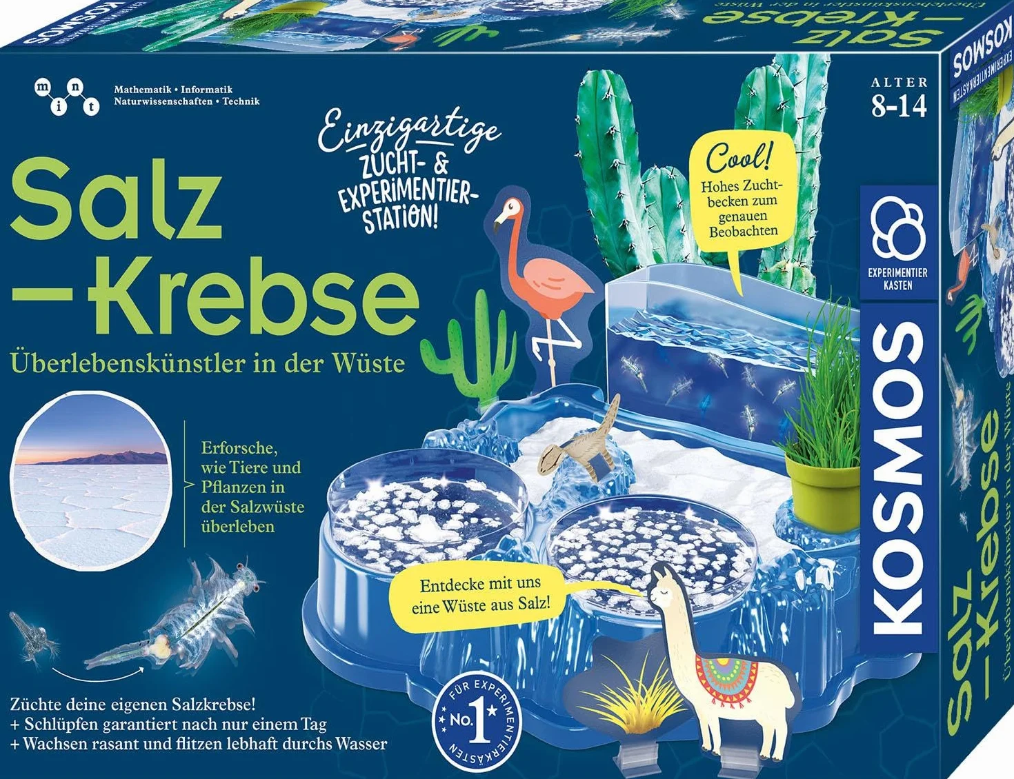 Salzkrebse: Experimentierkasten