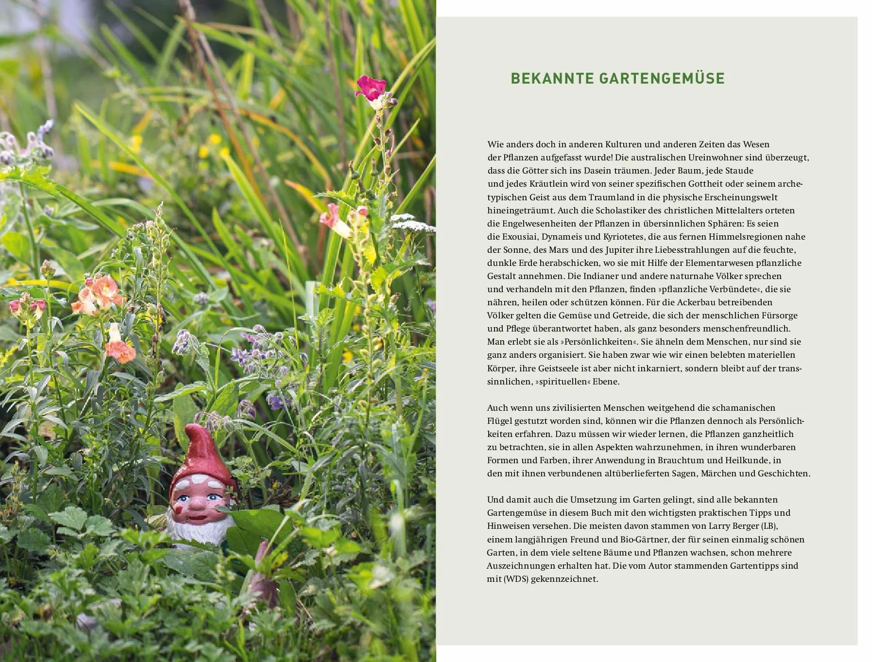 Bekannte und vergessene Gemüse: Botanik, Geschichte, Heilkunde und Anwendungen