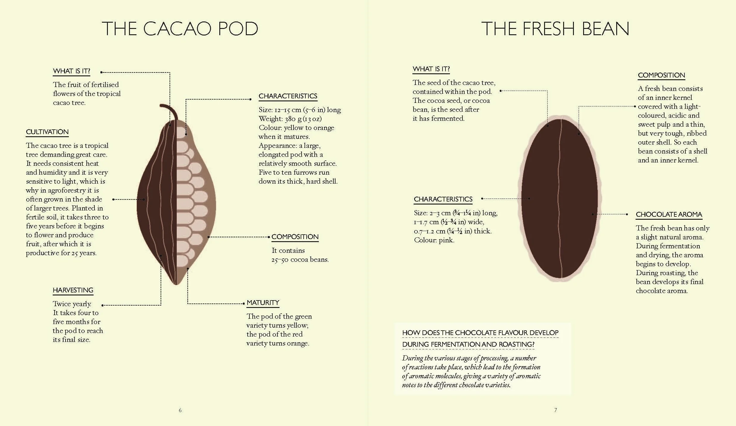 The Little Book of Chocolate: Desserts: Make Your Own Desserts at Home