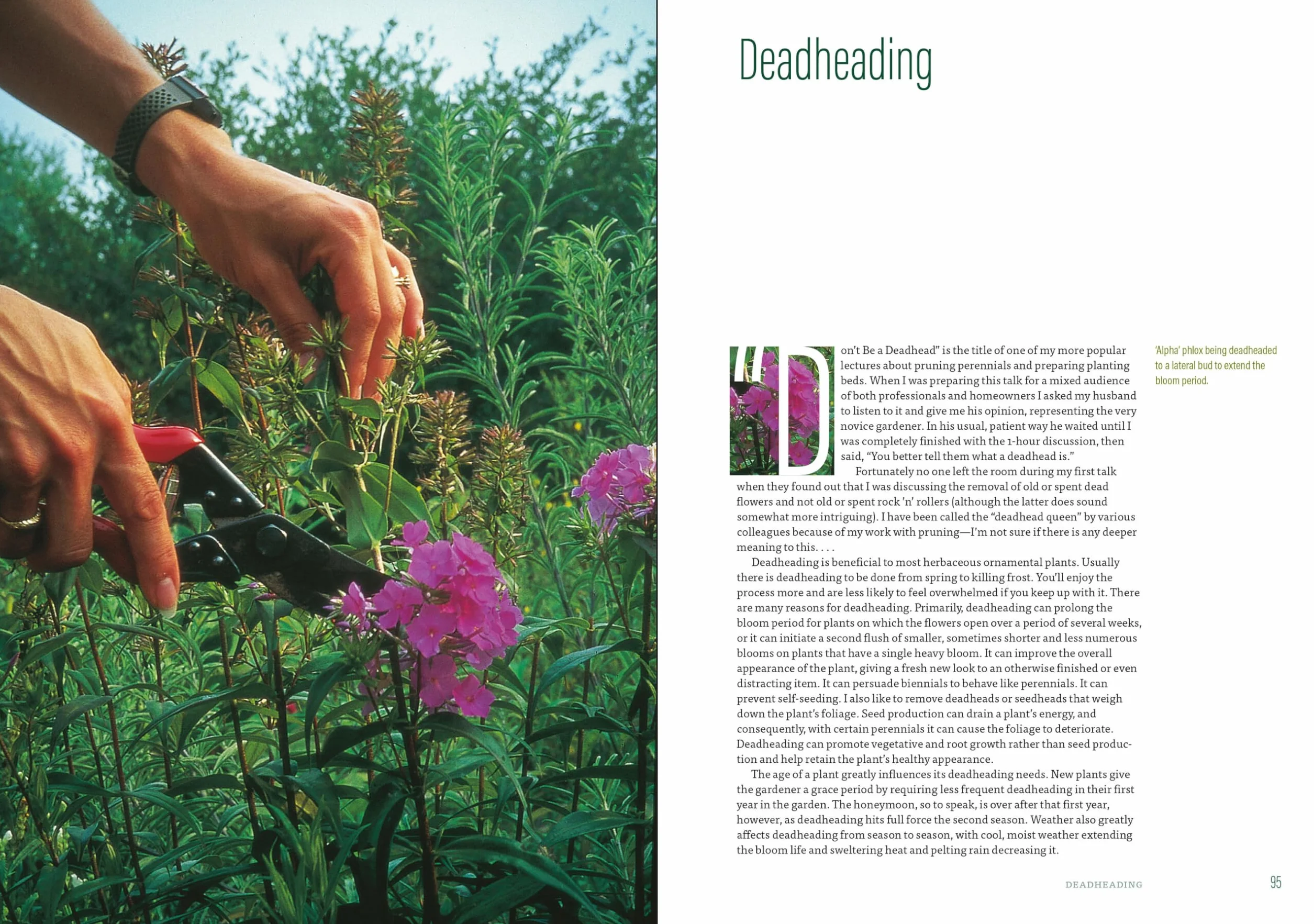 The Well-Tended Perennial Garden: The Essential Guide to Planting and Pruning Techniques, Third Edition