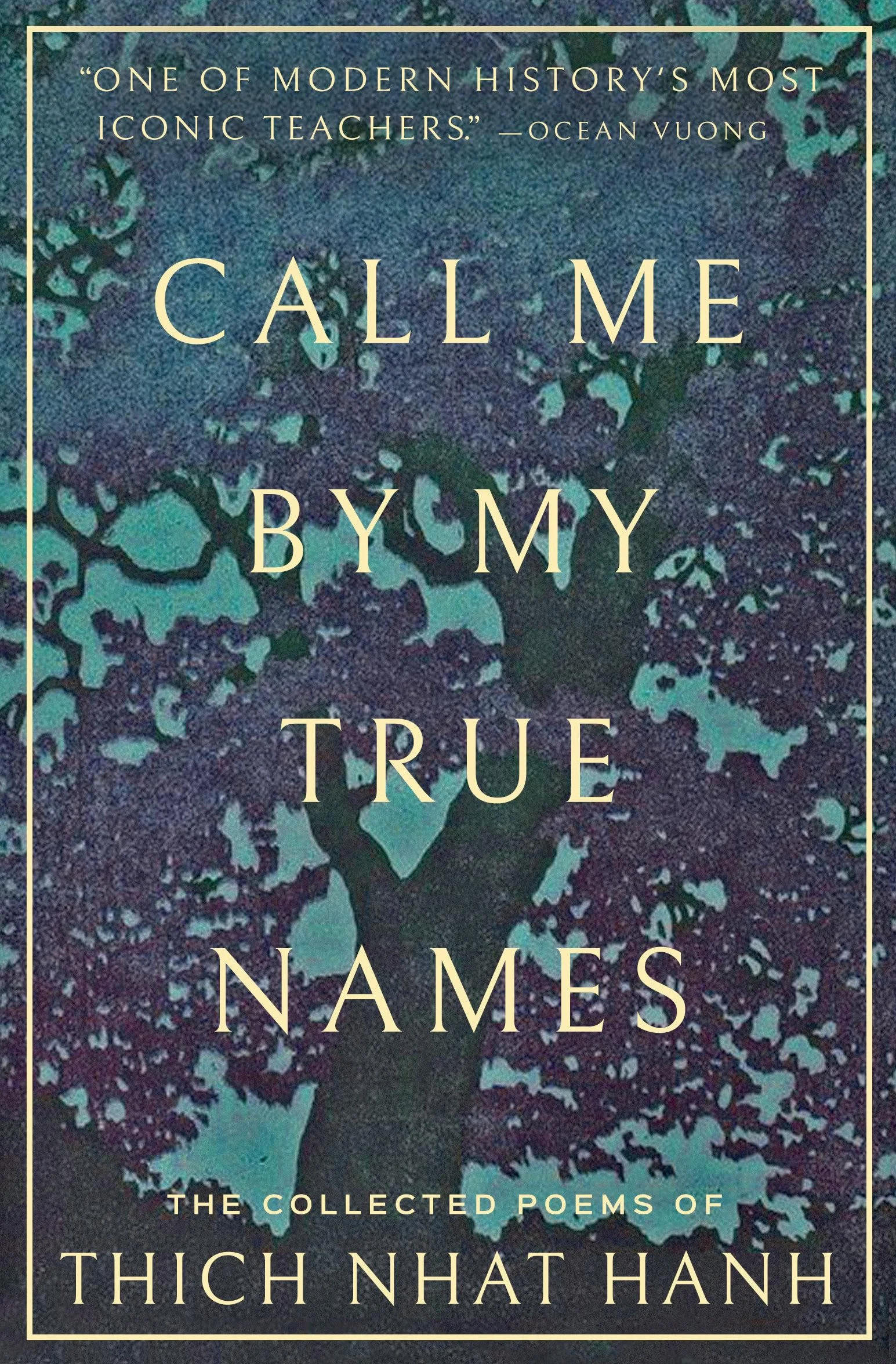 Call Me By My True Names: The Collected Poems of Thich Nhat Hanh
