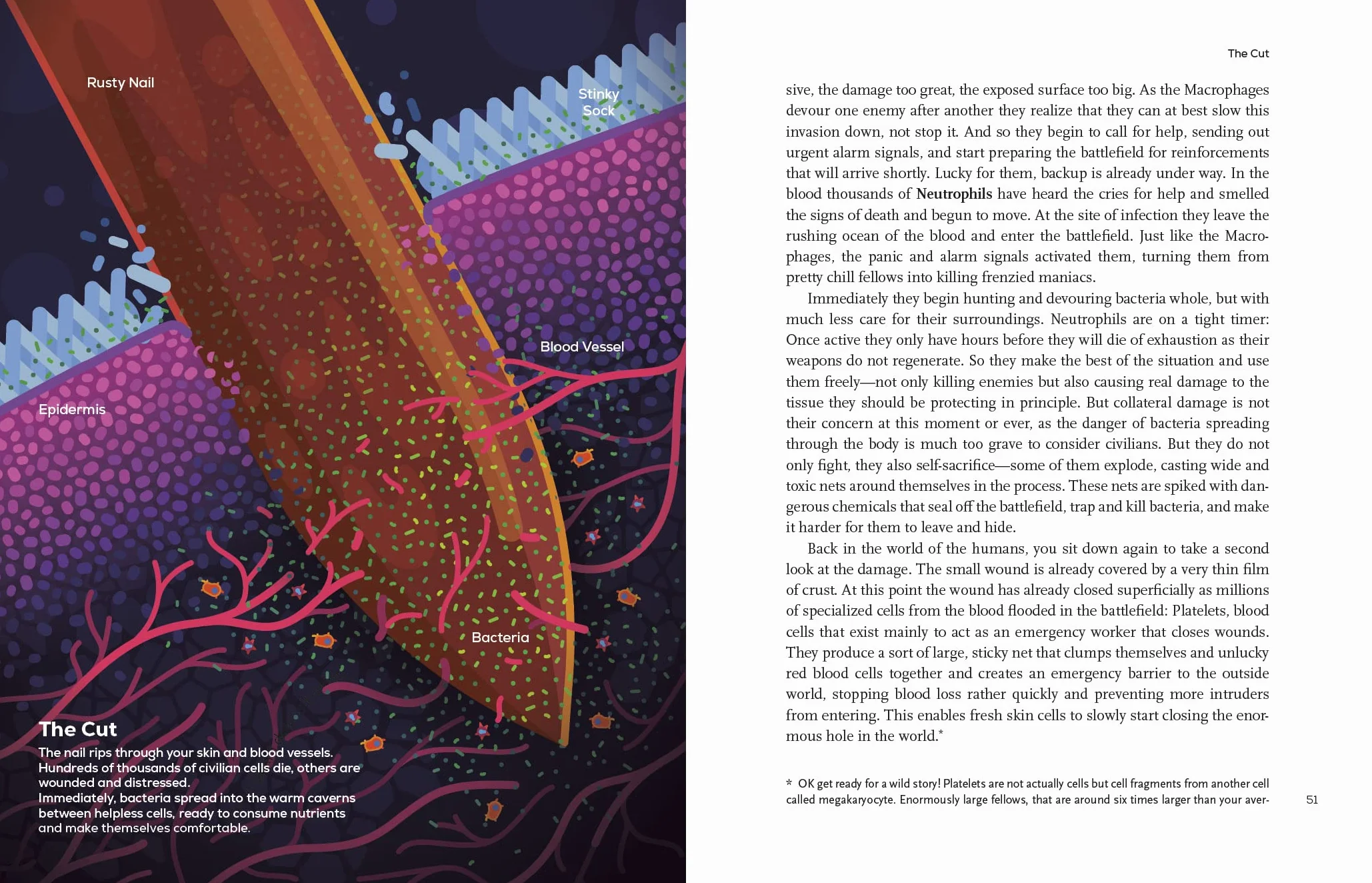 Immune: A Journey into the Mysterious System That Keeps You Alive