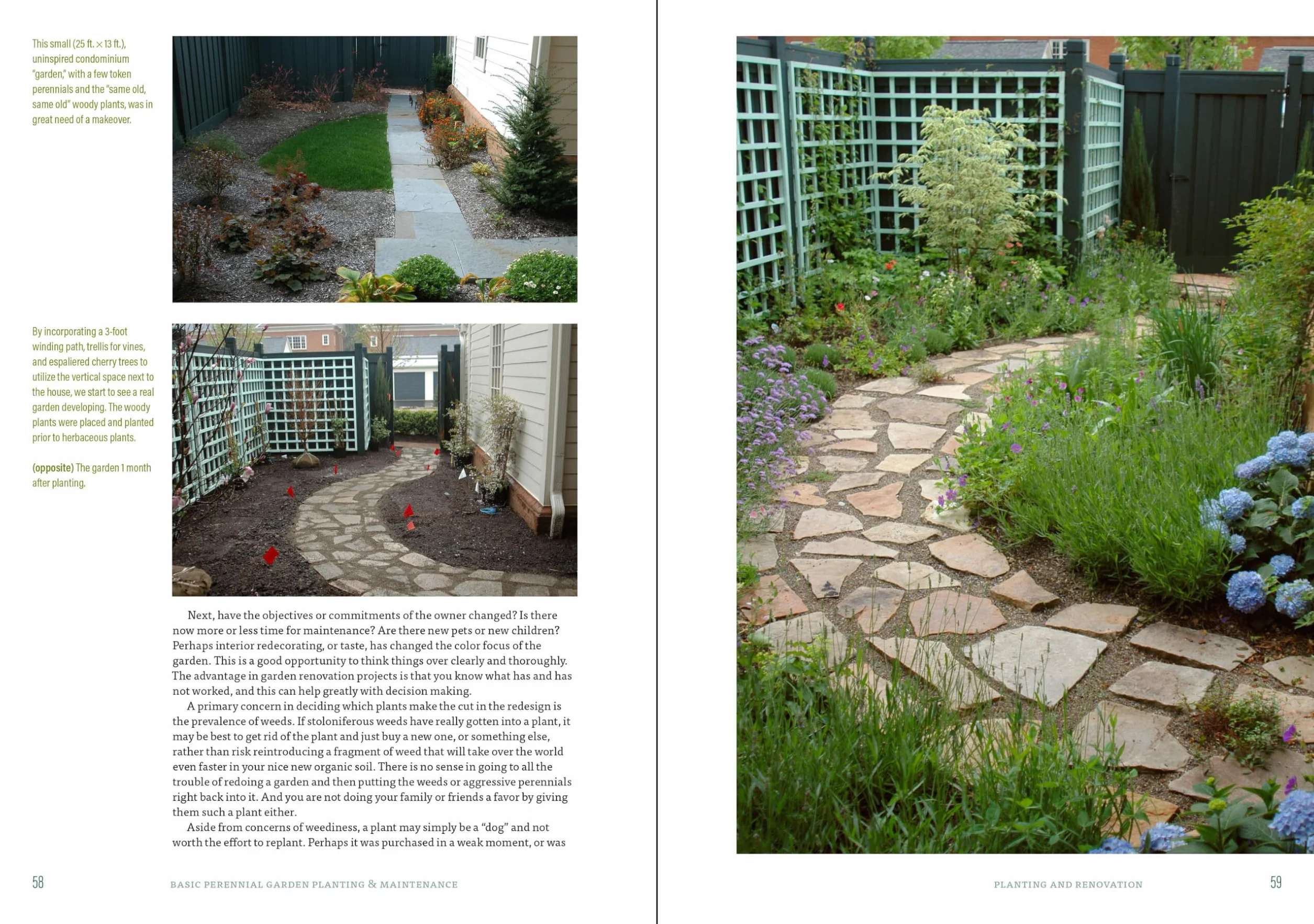 The Well-Tended Perennial Garden: The Essential Guide to Planting and Pruning Techniques, Third Edition