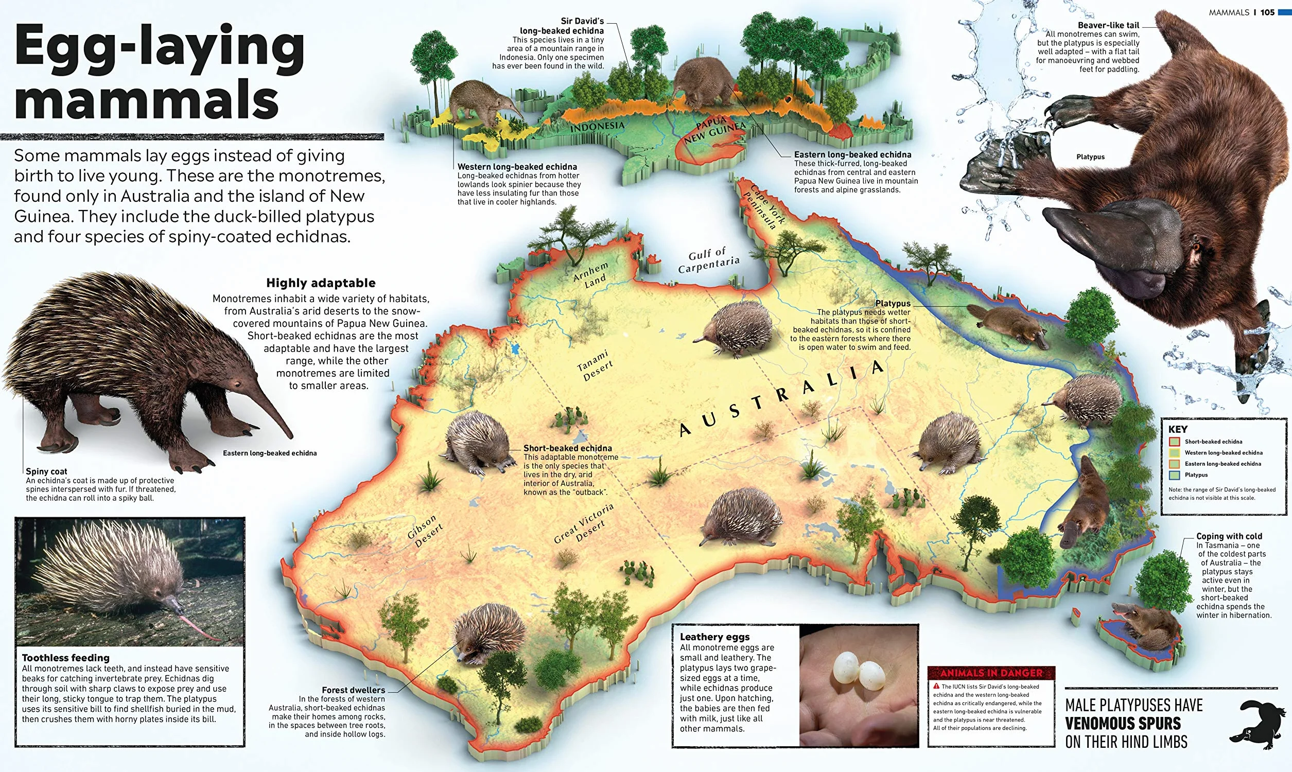 What's Where on Earth? Animal Atlas: The World's Wildlife as You've Never Seen it Before