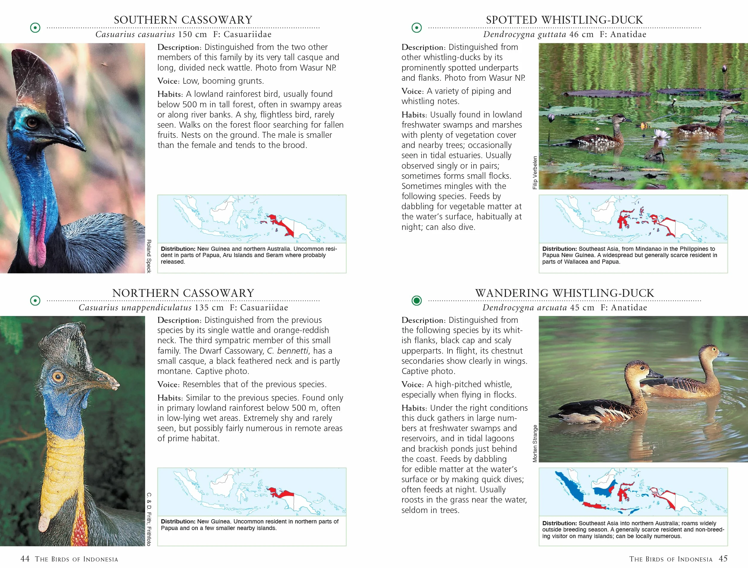 A Photographic Guide to the Birds of Indonesia: Updated Second Edition