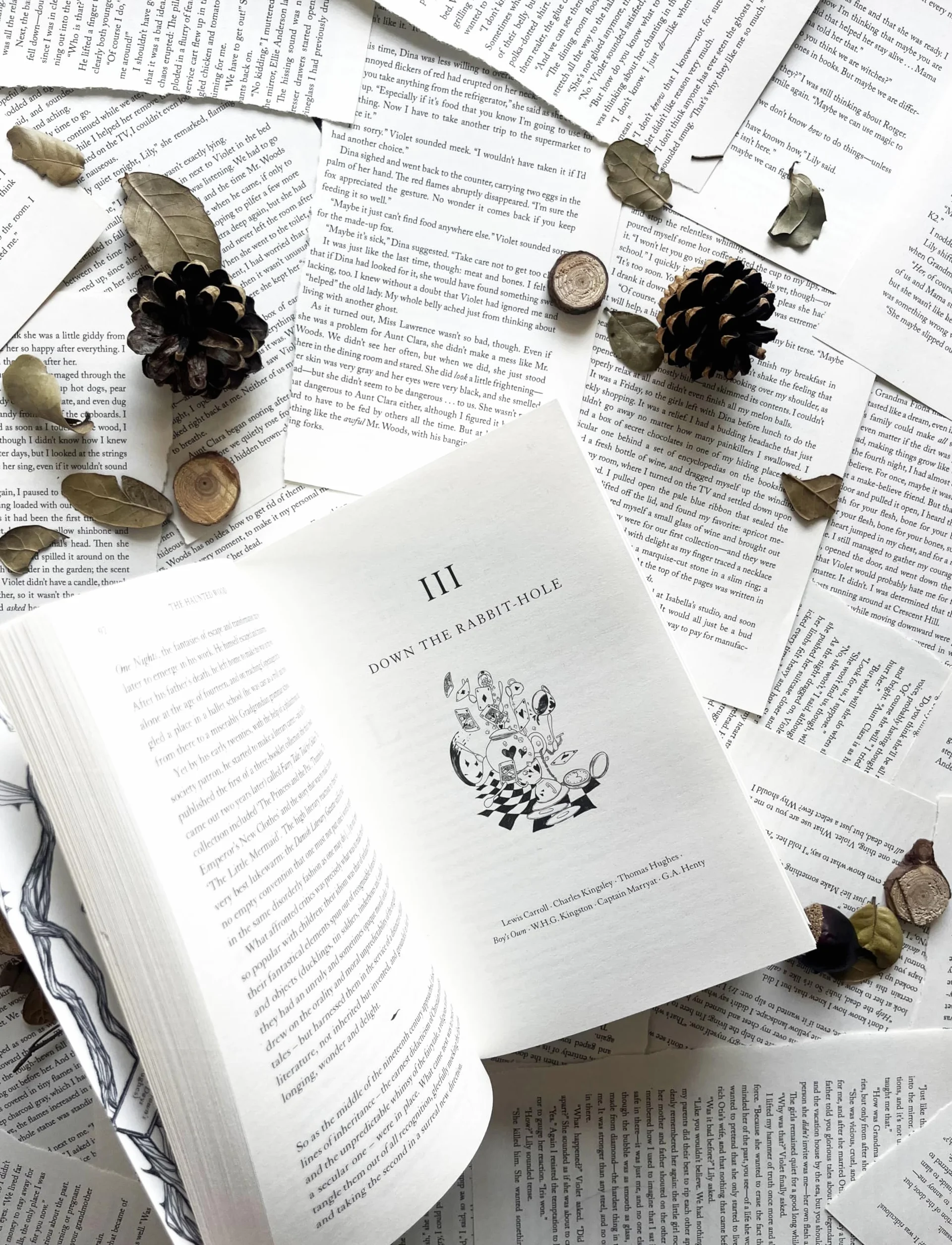 The Haunted Wood: A History of Childhood Reading