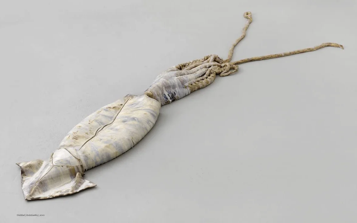 Strange Clay : Ceramics in contemporary art /anglais