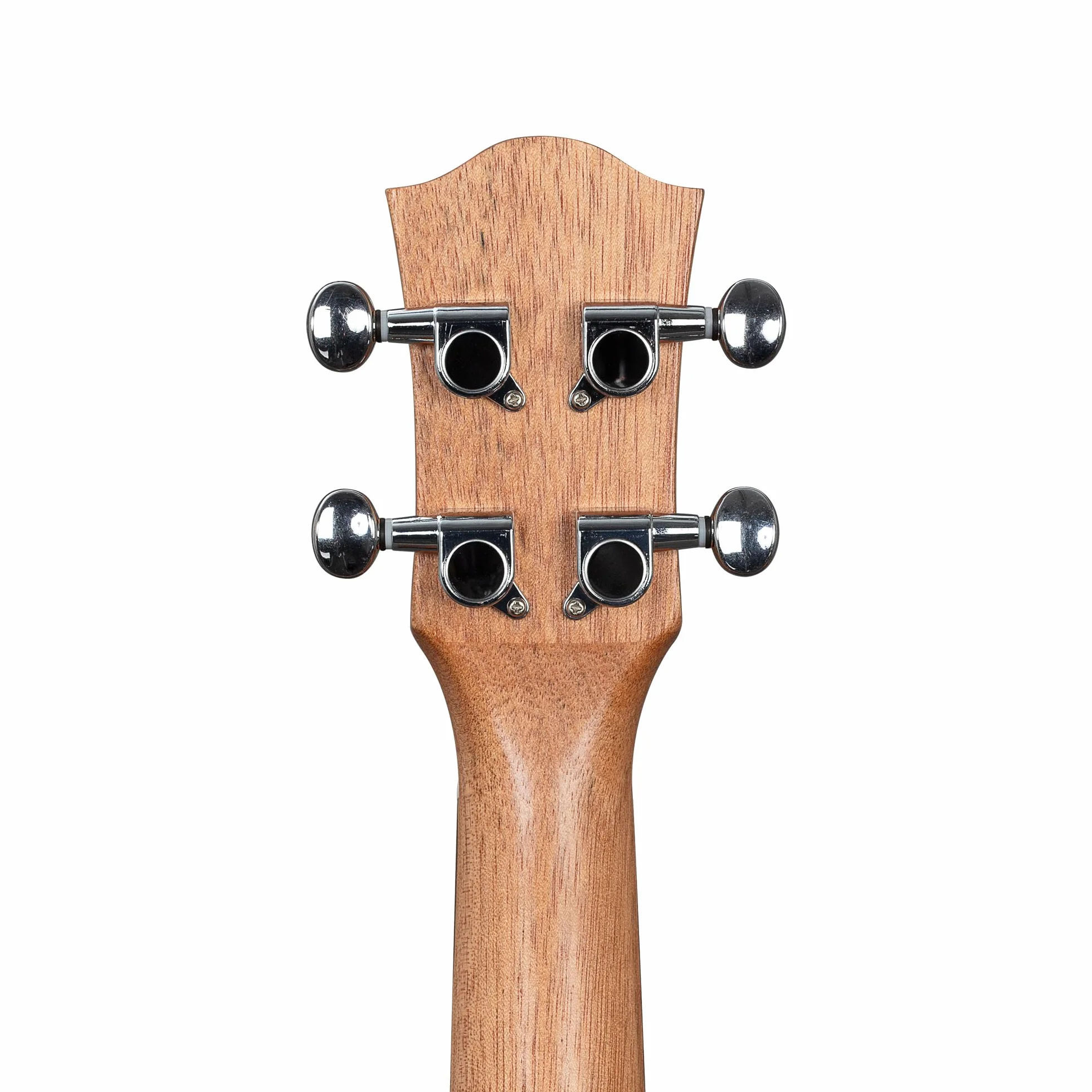 Tenor Art Series Urban ukulele
