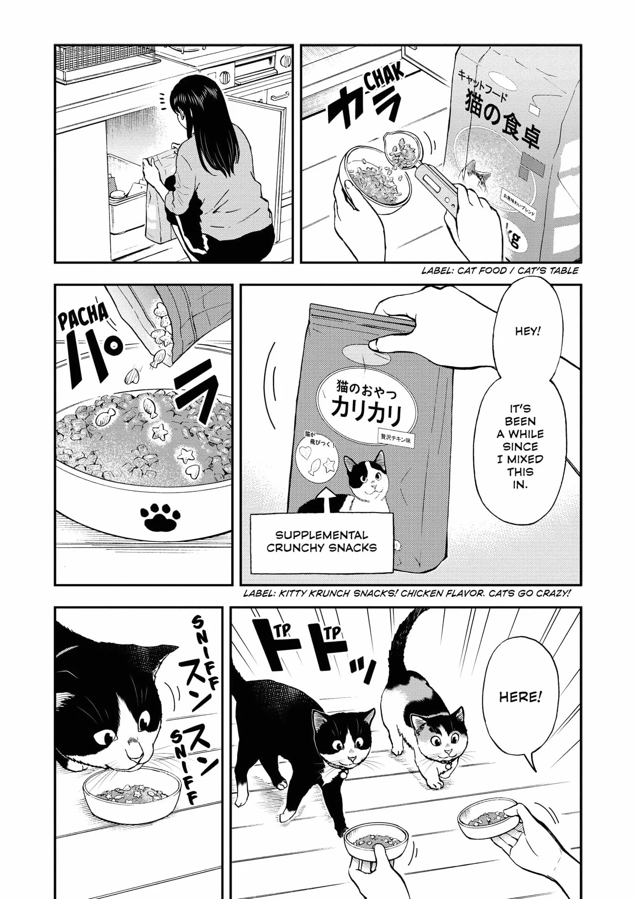 Cat + Gamer Volume 5