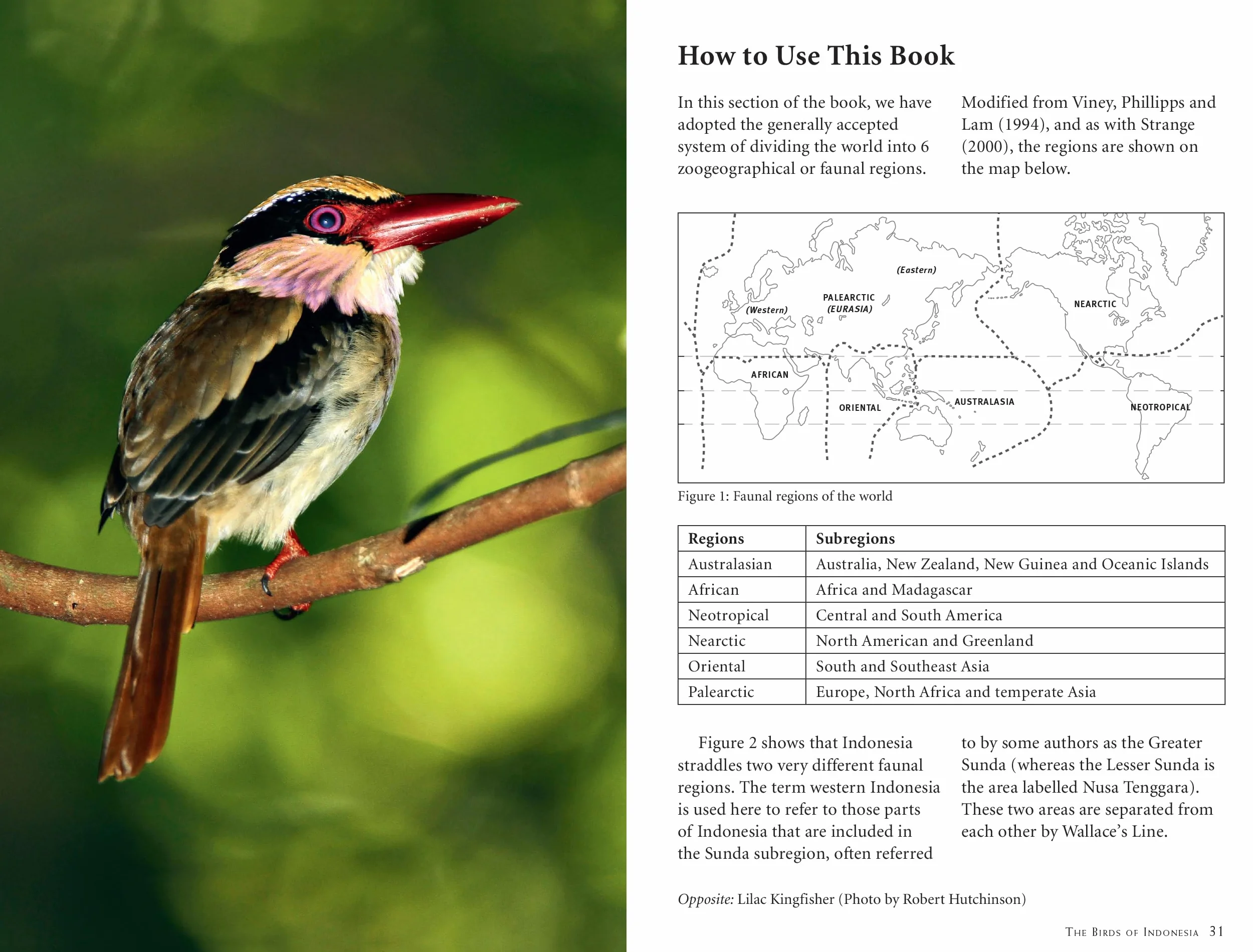 A Photographic Guide to the Birds of Indonesia: Updated Second Edition