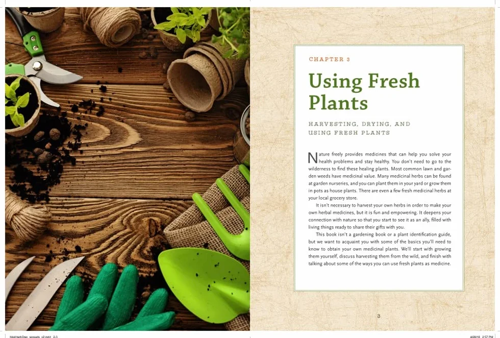 The Modern Herbal Dispensatory: A Medicine-Making Guide