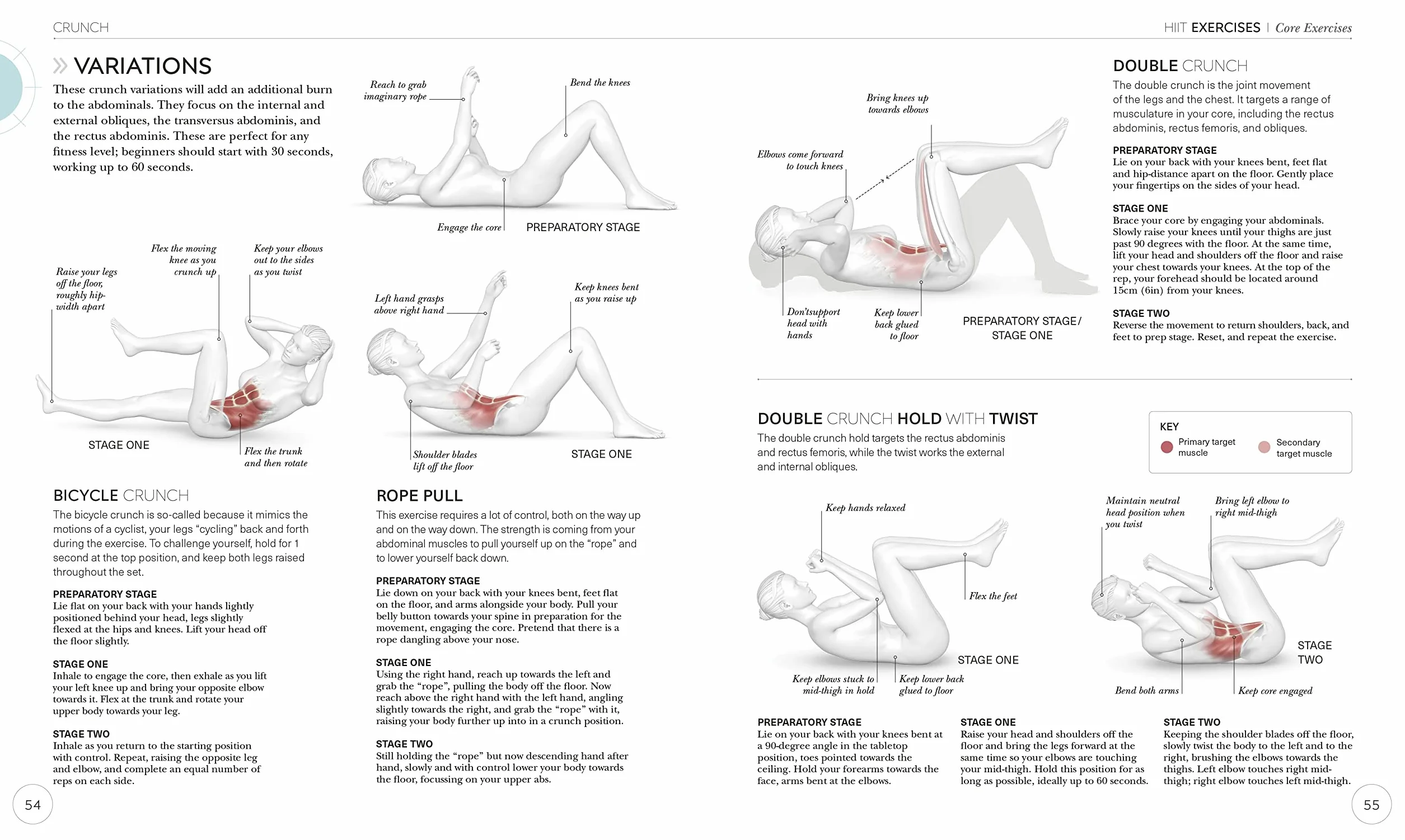 Science of HIIT: Understand the Anatomy and Physiology to Transform Your Body