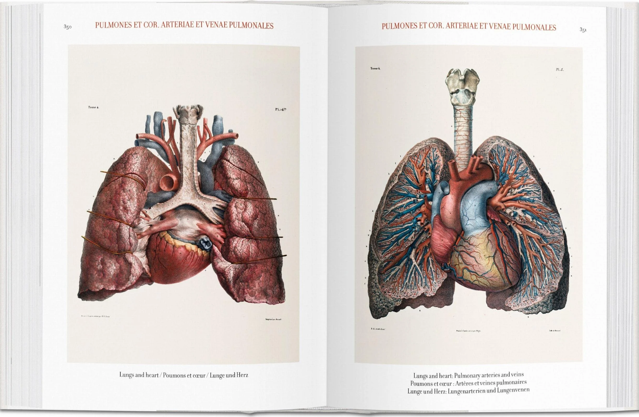Atlas of Human Anatomy and Surgery