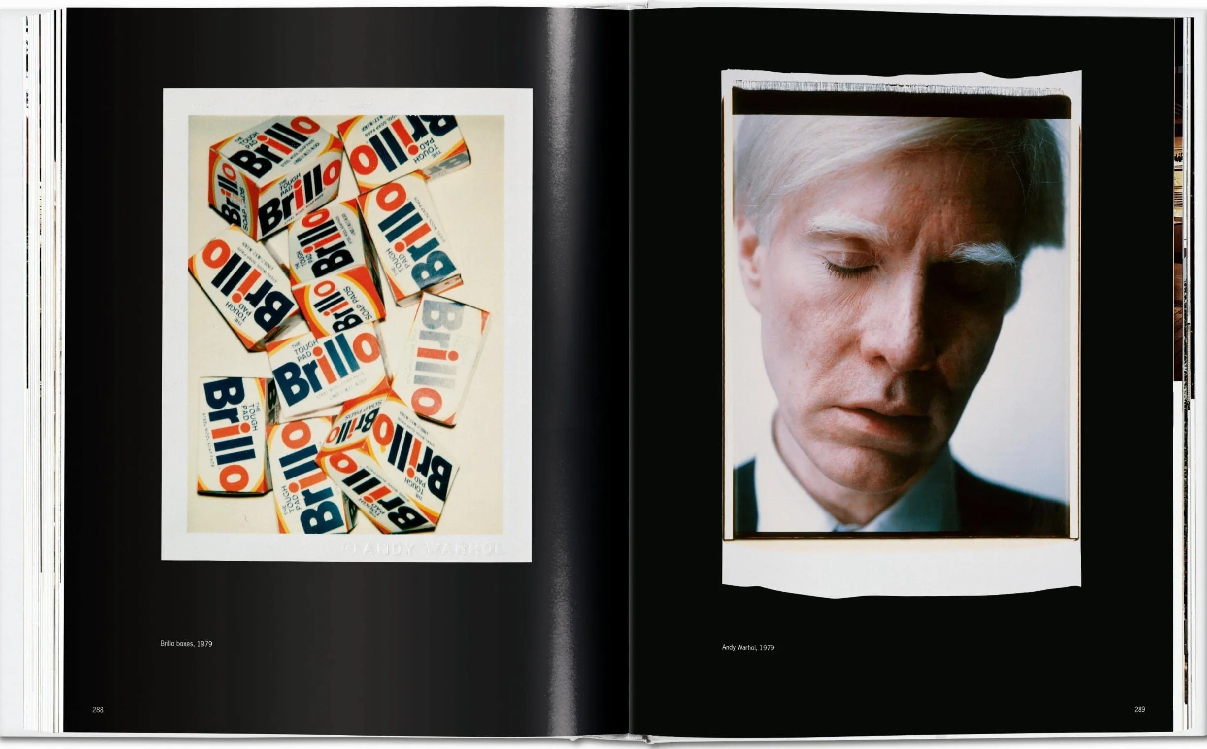 Andy Warhol: Polaroids 1958-1987