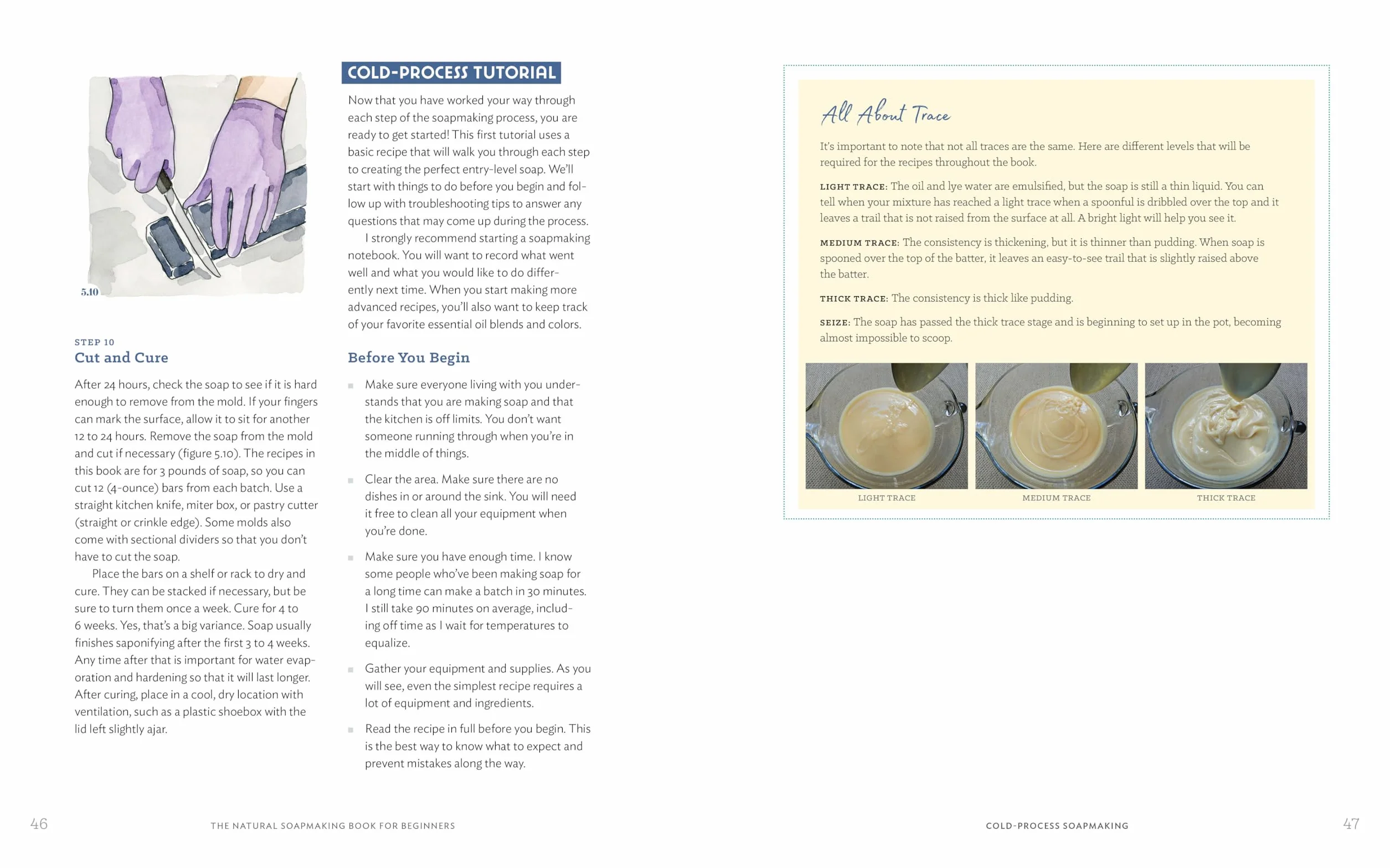 The Natural Soap Making Book for Beginners: Do-It-Yourself Soaps Using All-Natural Herbs, Spices, and Essential Oils