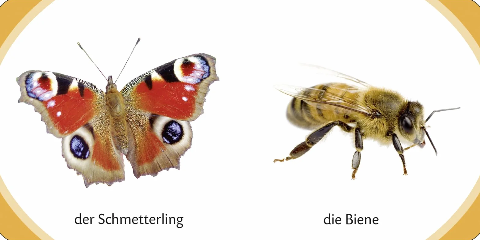 Kennst du das? Meine kleine Tierwelt (Würfel): ab 12 Monaten: 13