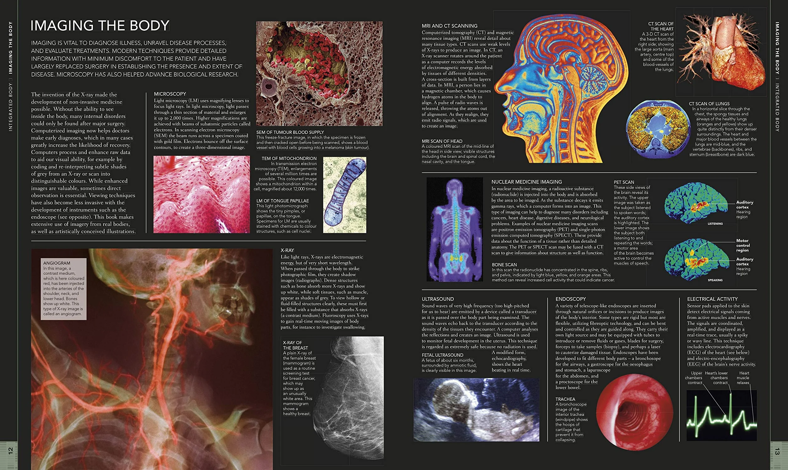 The Human Body Book