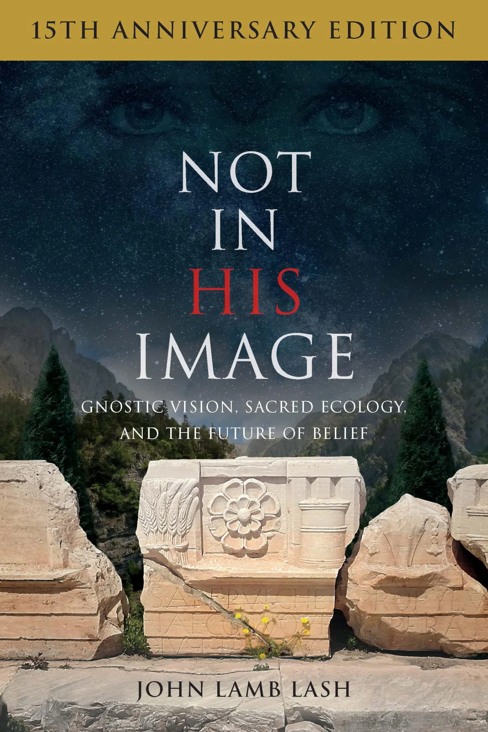Not in His Image (15th Anniversary Edition): Gnostic Vision, Sacred Ecology, and the Future of Belief