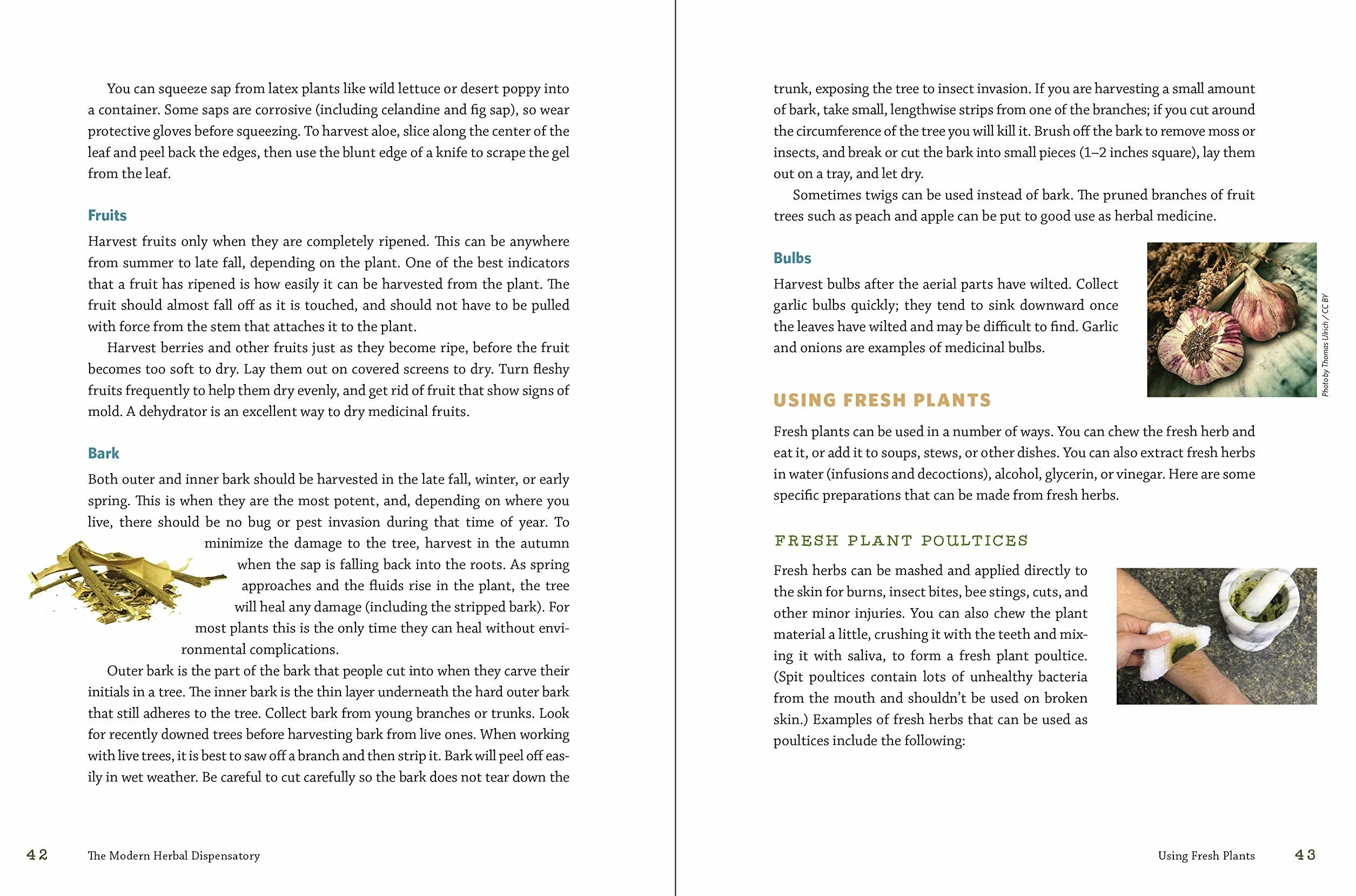 The Modern Herbal Dispensatory: A Medicine-Making Guide