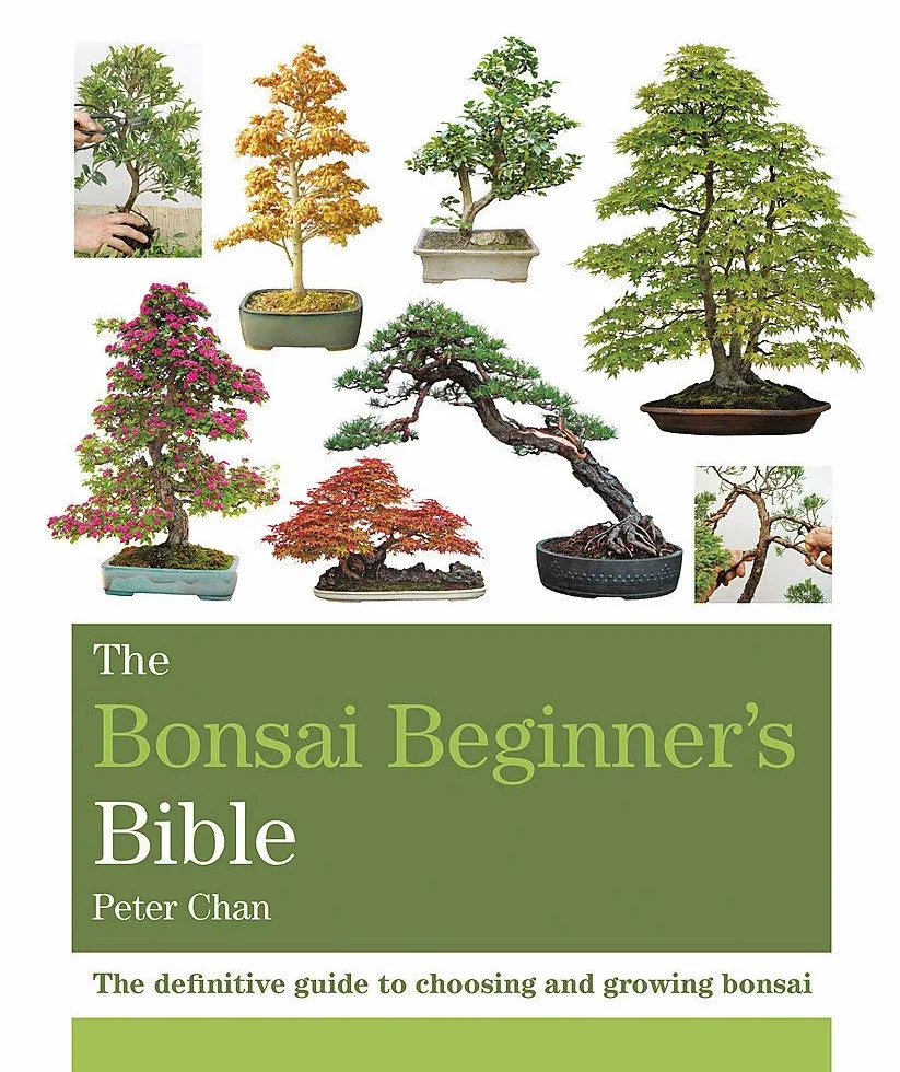 The Bonsai Beginner's Bible: The definitive guide to choosing and growing bonsai