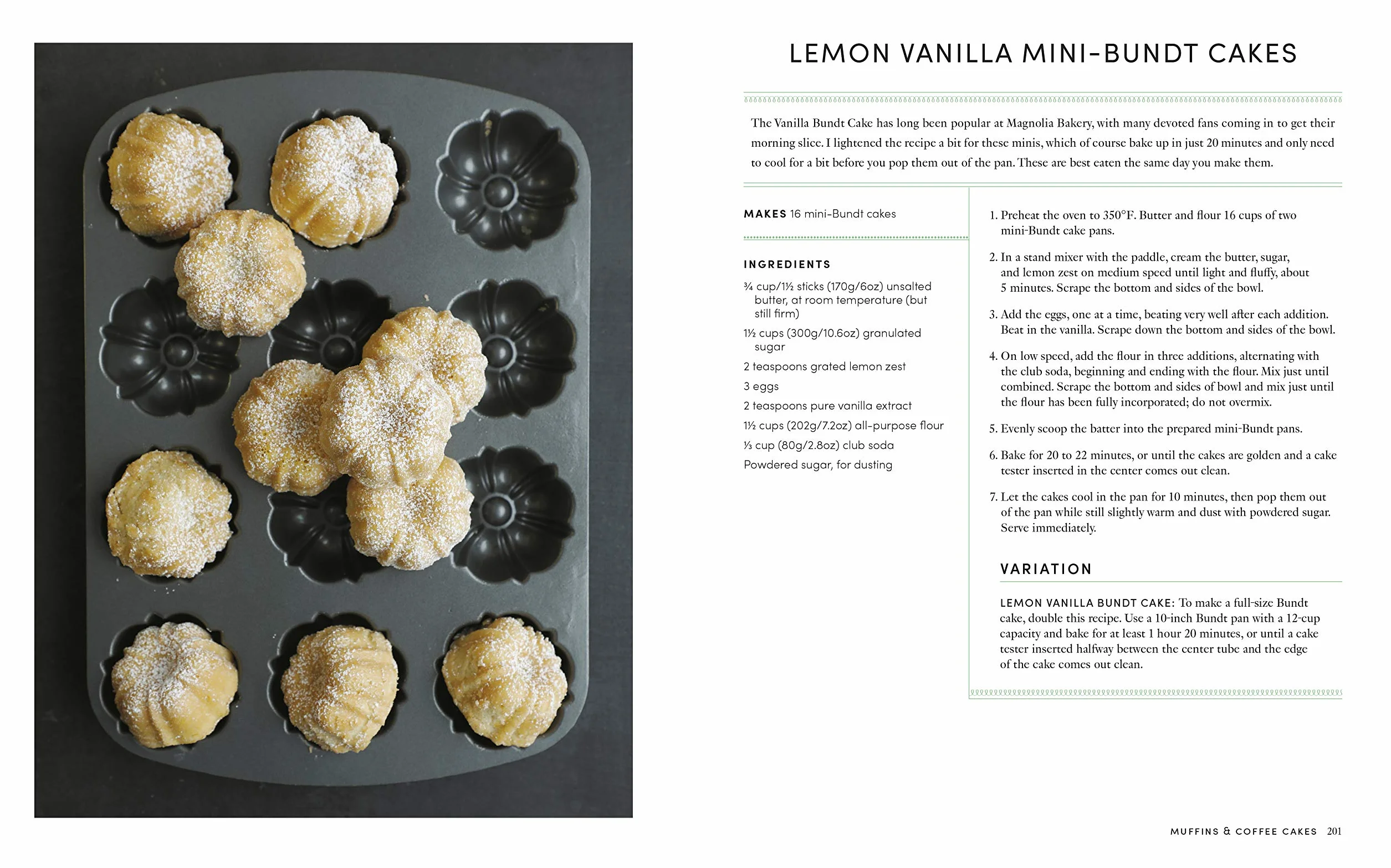 The Magnolia Bakery Handbook: A Complete Guide for the Home Baker