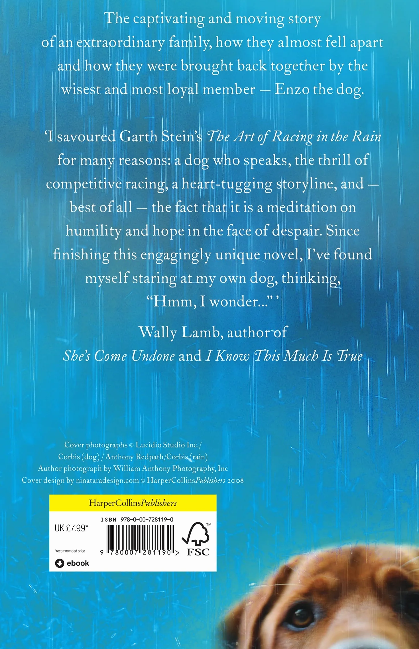 The Art of Racing in the Rain: a novel