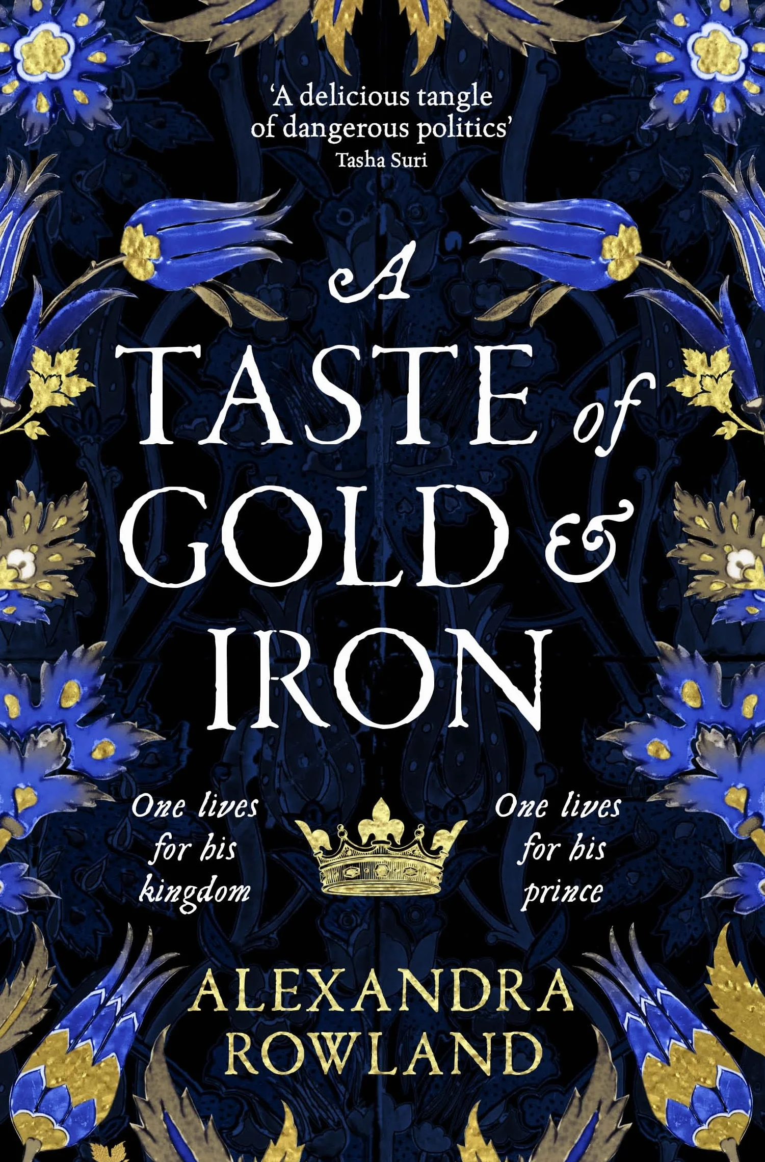 A Taste of Gold and Iron: A Breathtaking Enemies-to-Lovers Romantic Fantasy
