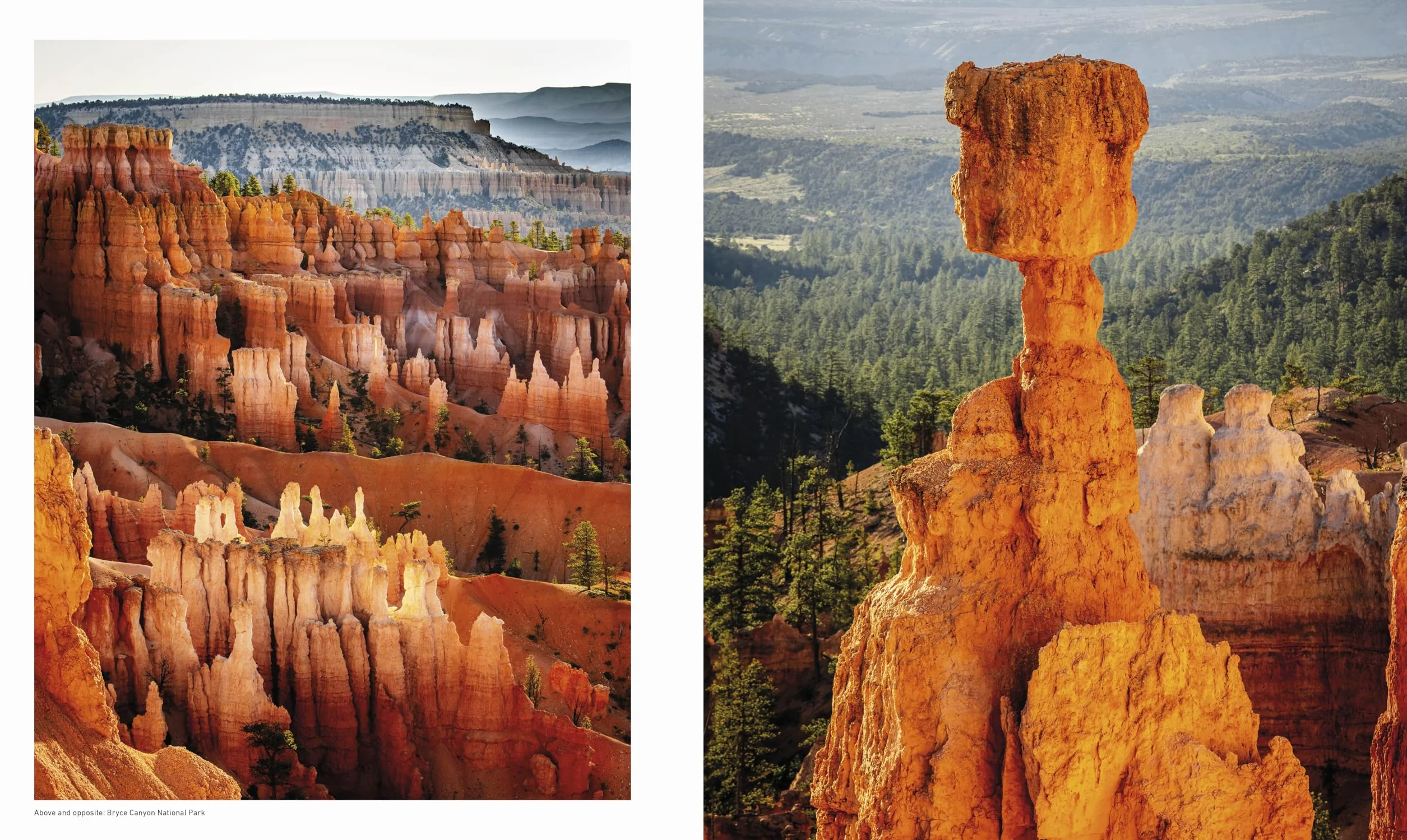 Otherworldly America: Explore the Most Unique Natural Wonders of the United States