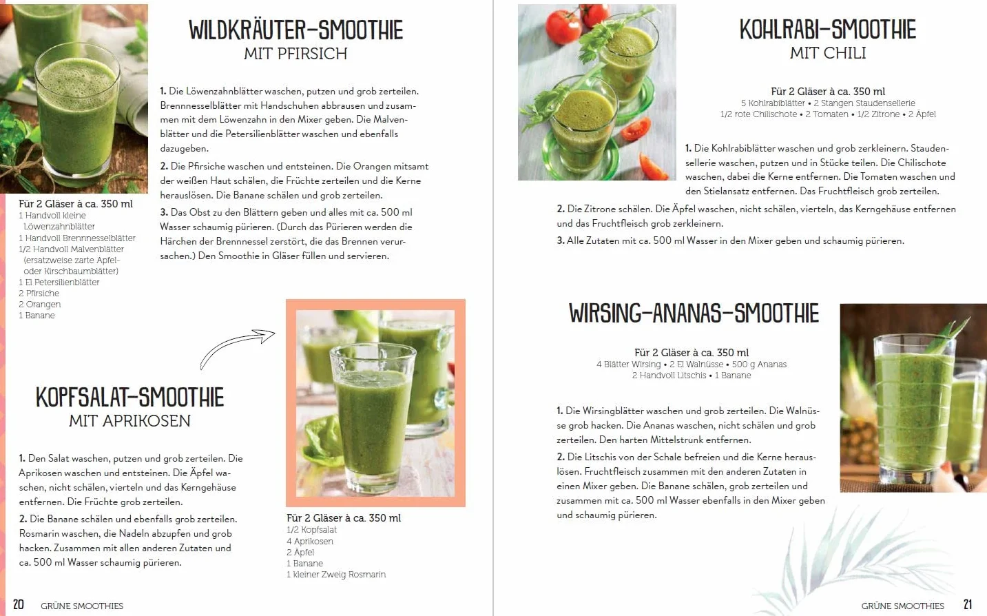 365 Smoothies, Powerdrinks & Co.: Smoothie Buch mit Rezepten für Shakes, Säfte, Limonaden, Detox-Wässer, Smoothie Bowls & Entsafter
