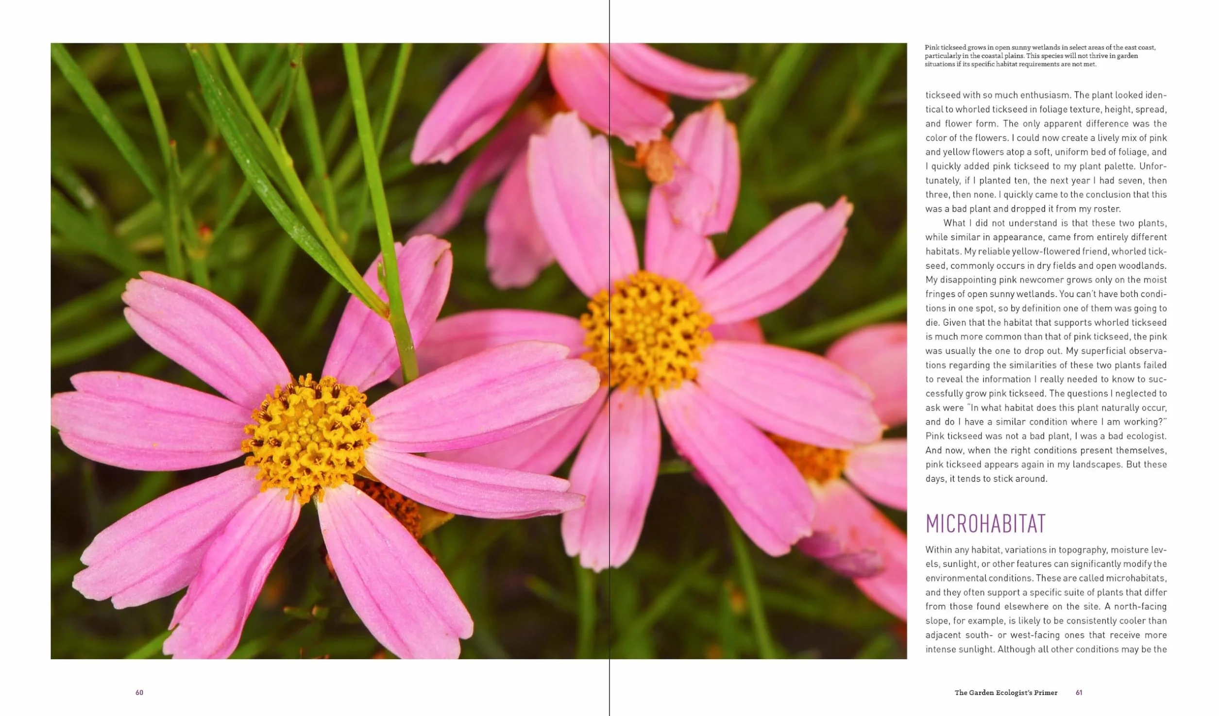 Garden Revolution: How Our Landscapes Can Be a Source of Environmental Change