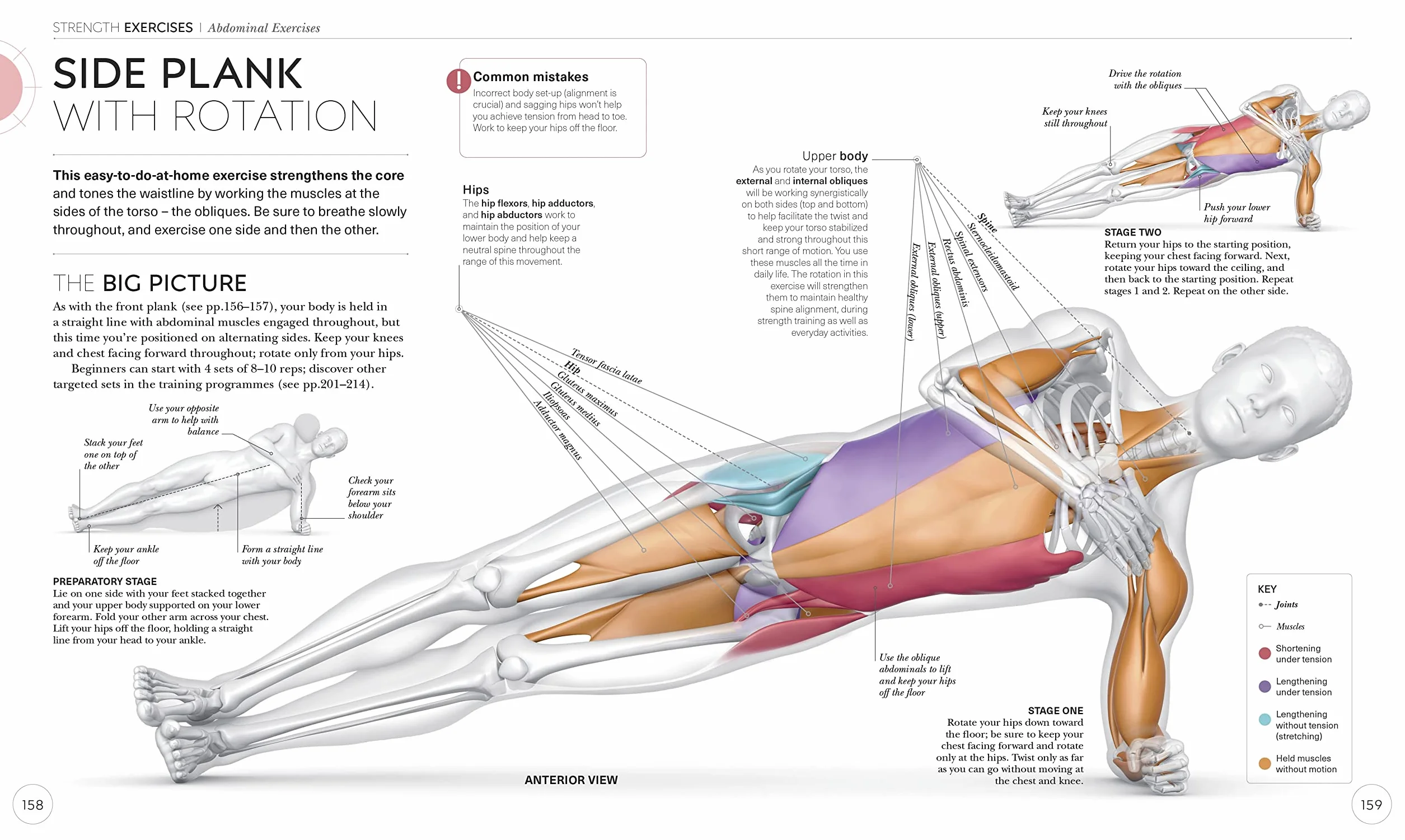 Science of Strength Training: Understand the Anatomy and Physiology to Transform Your Body