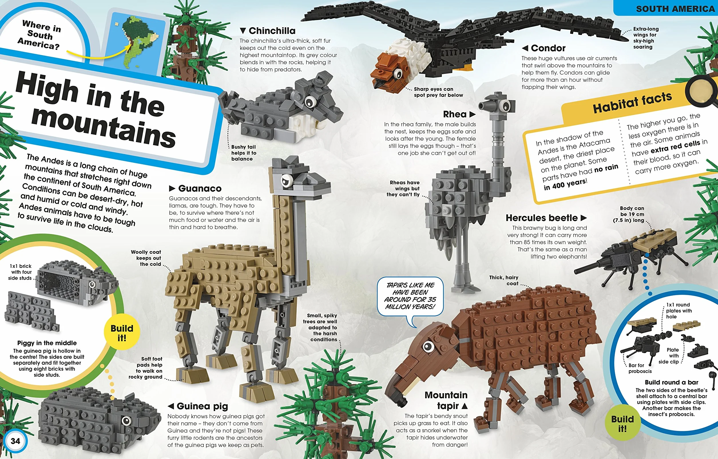 LEGO Animal Atlas: with four exclusive animal models